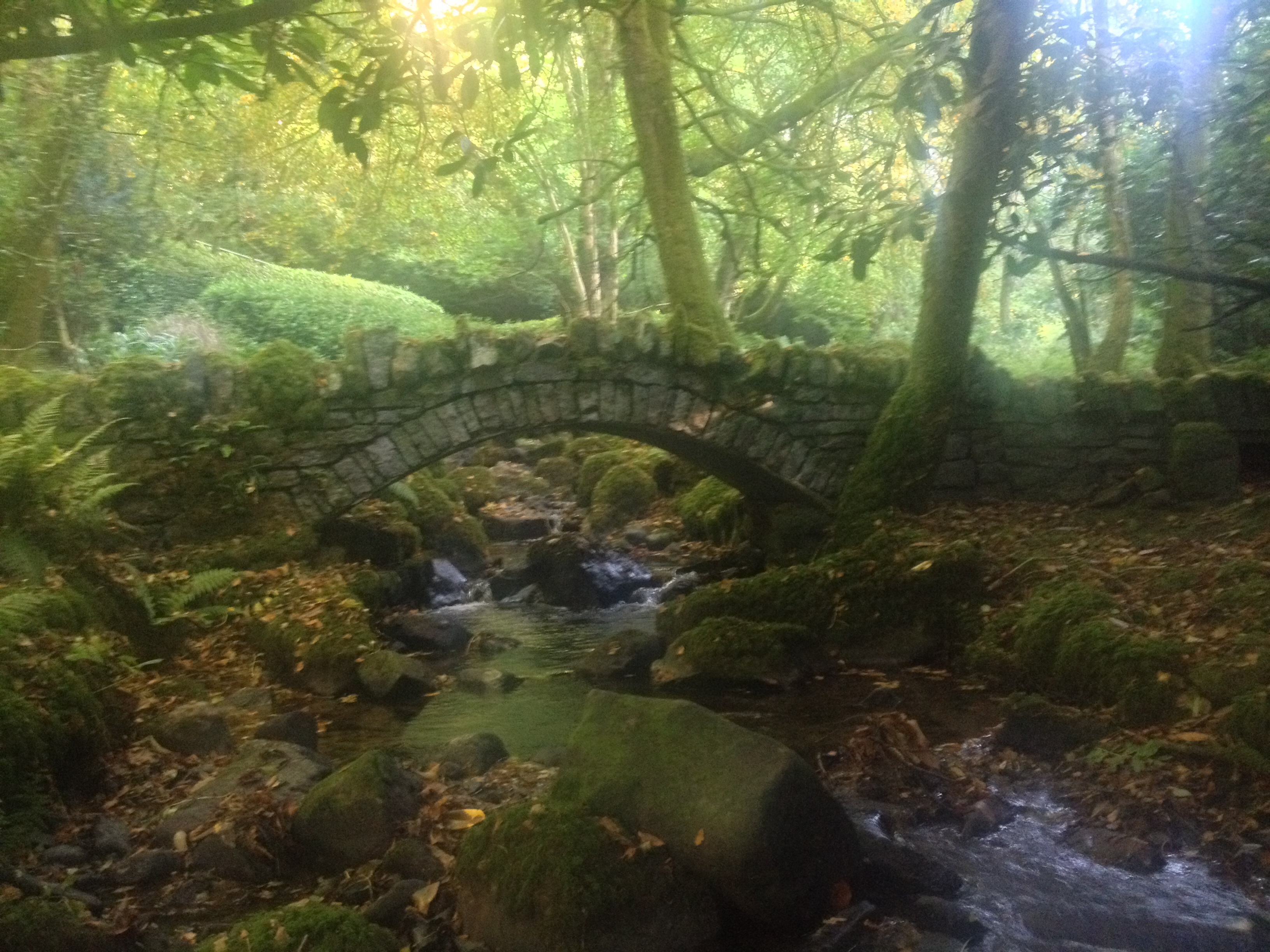 When Nature Imitates Art « The Irish Aesthete