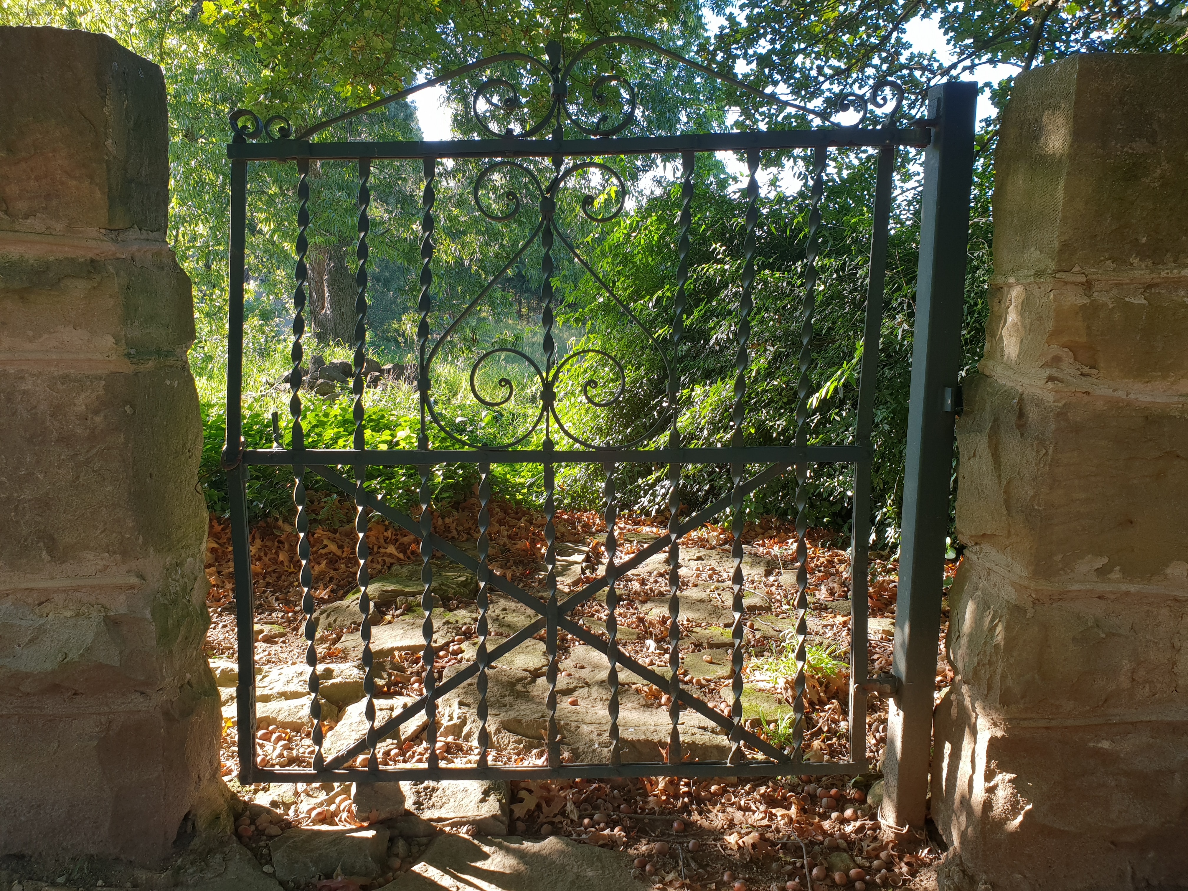 Iron gate to the garden photo