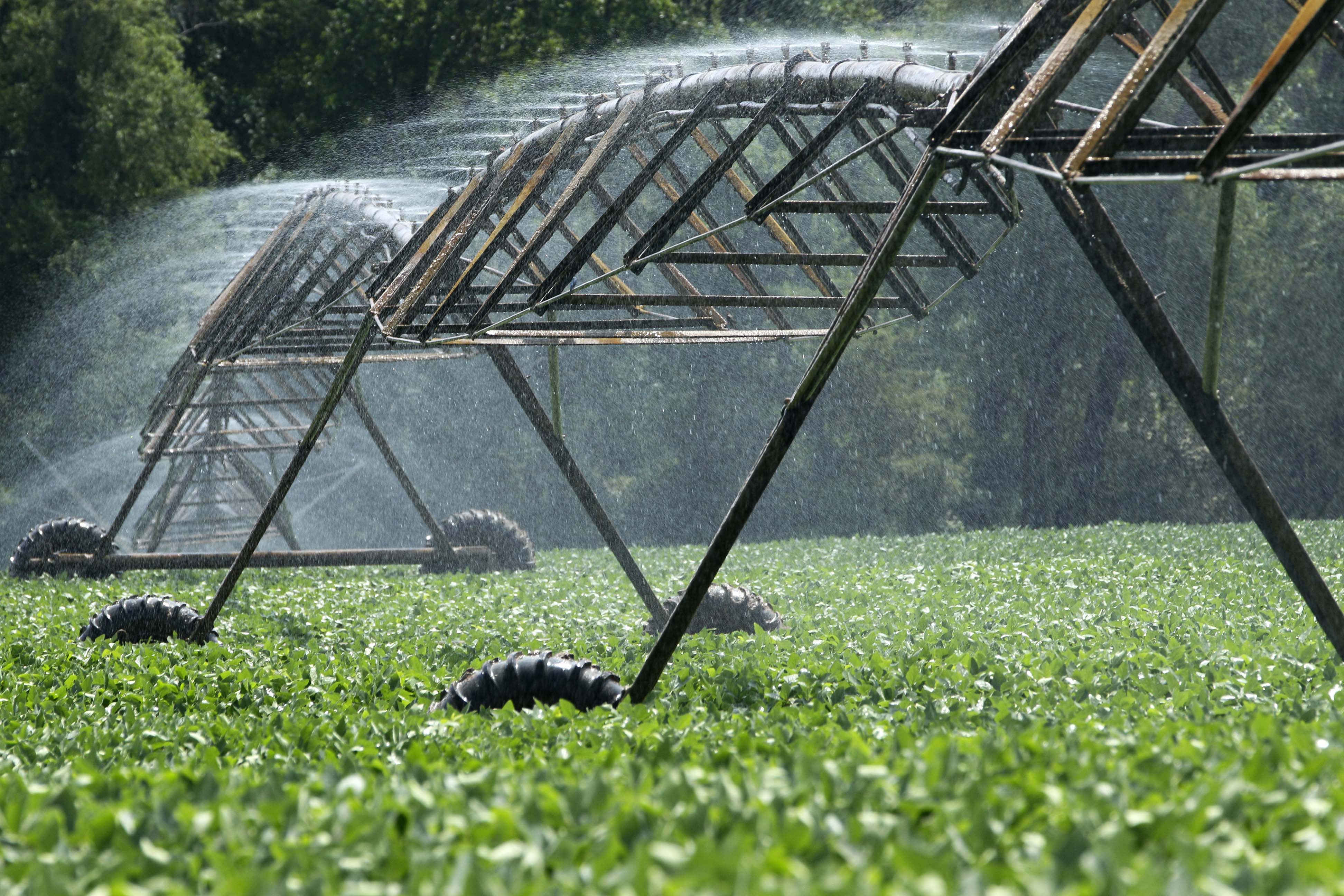 Funds for Modernizing Irrigation Systems | Financial Tribune