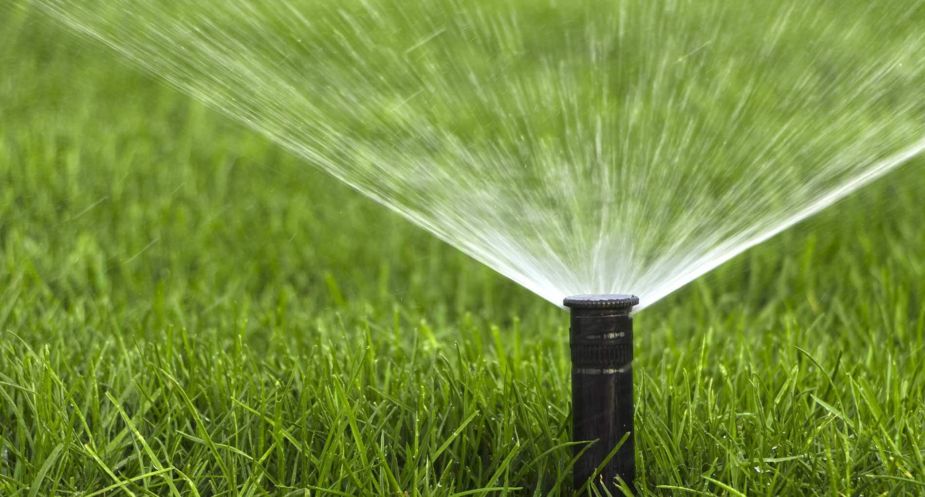 American Irrigation in Sarasota County & Charlotte County