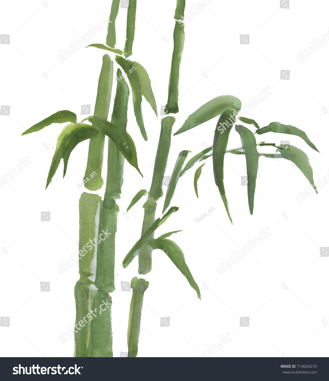 Bamboo On Isolated Background Hand Drawing Stock Illustration ...
