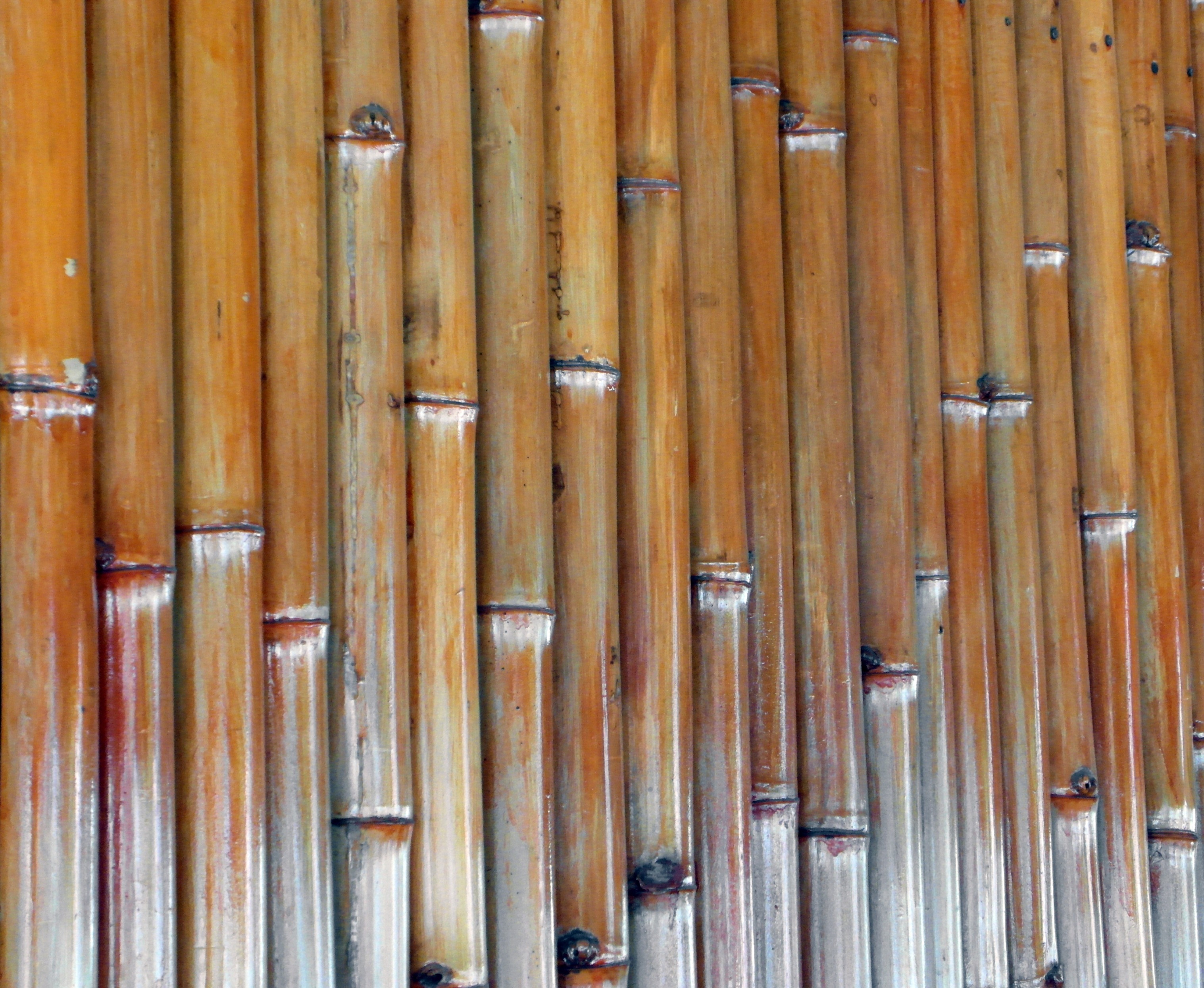 Isolated Bamboo Background, Asia, Real, Wooden, Wall, HQ Photo
