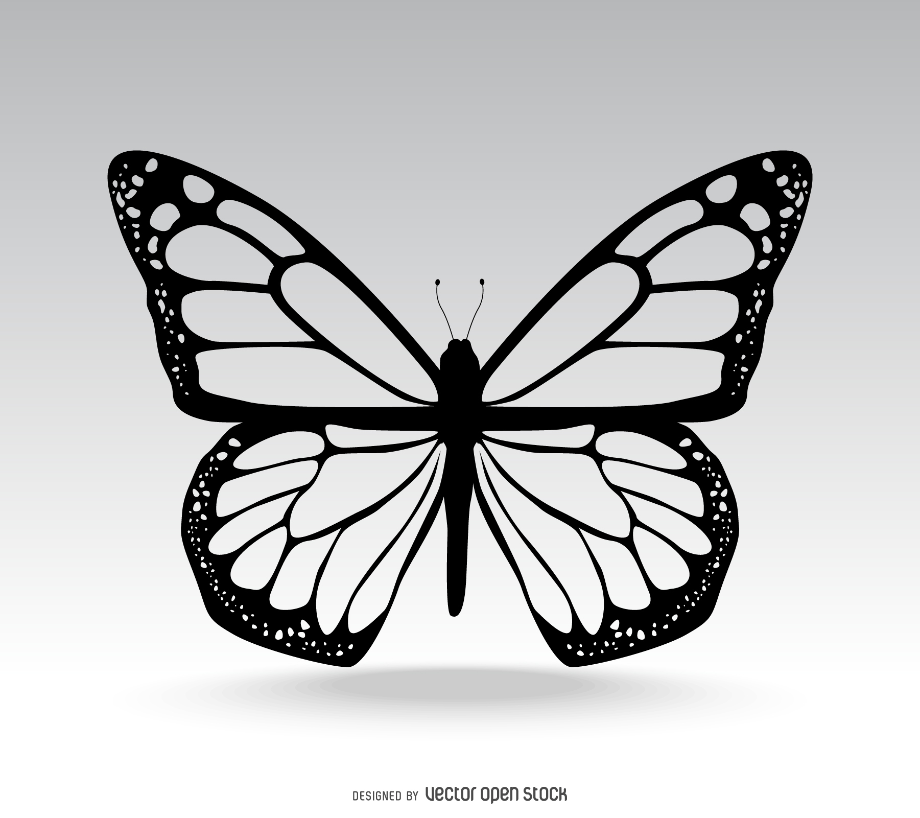 Classic isolated butterfly illustration - Vector download