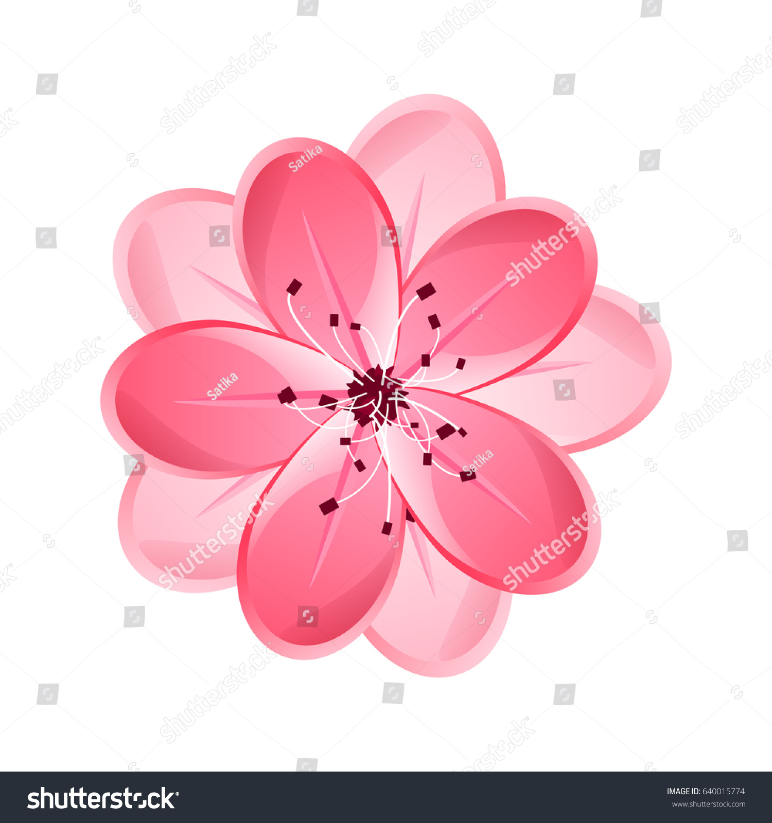 Isolated Flower Sakura Cartoon Pink White Stock Illustration ...