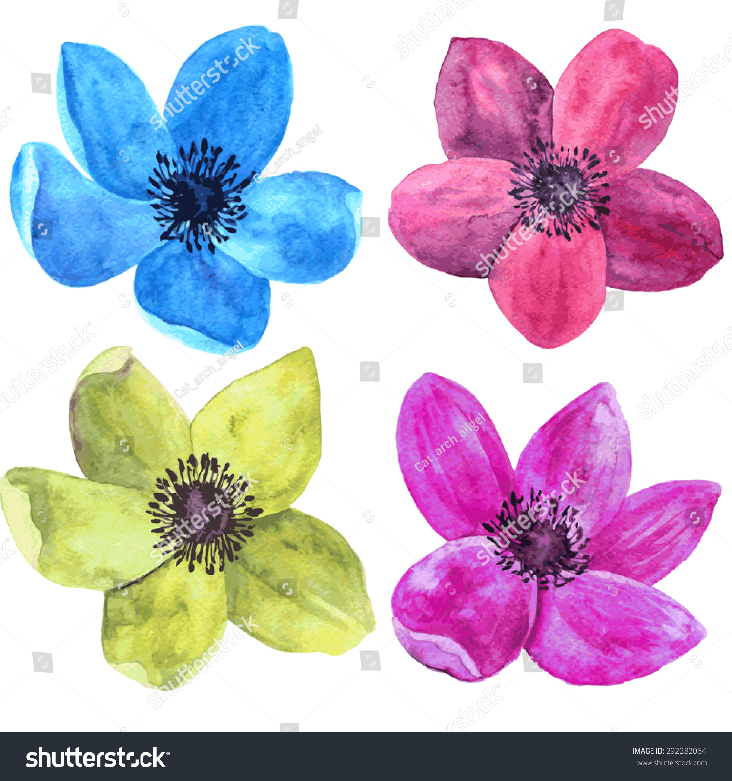 Vector Watercolor Drawing Isolated Flowers Red Stock Vector ...