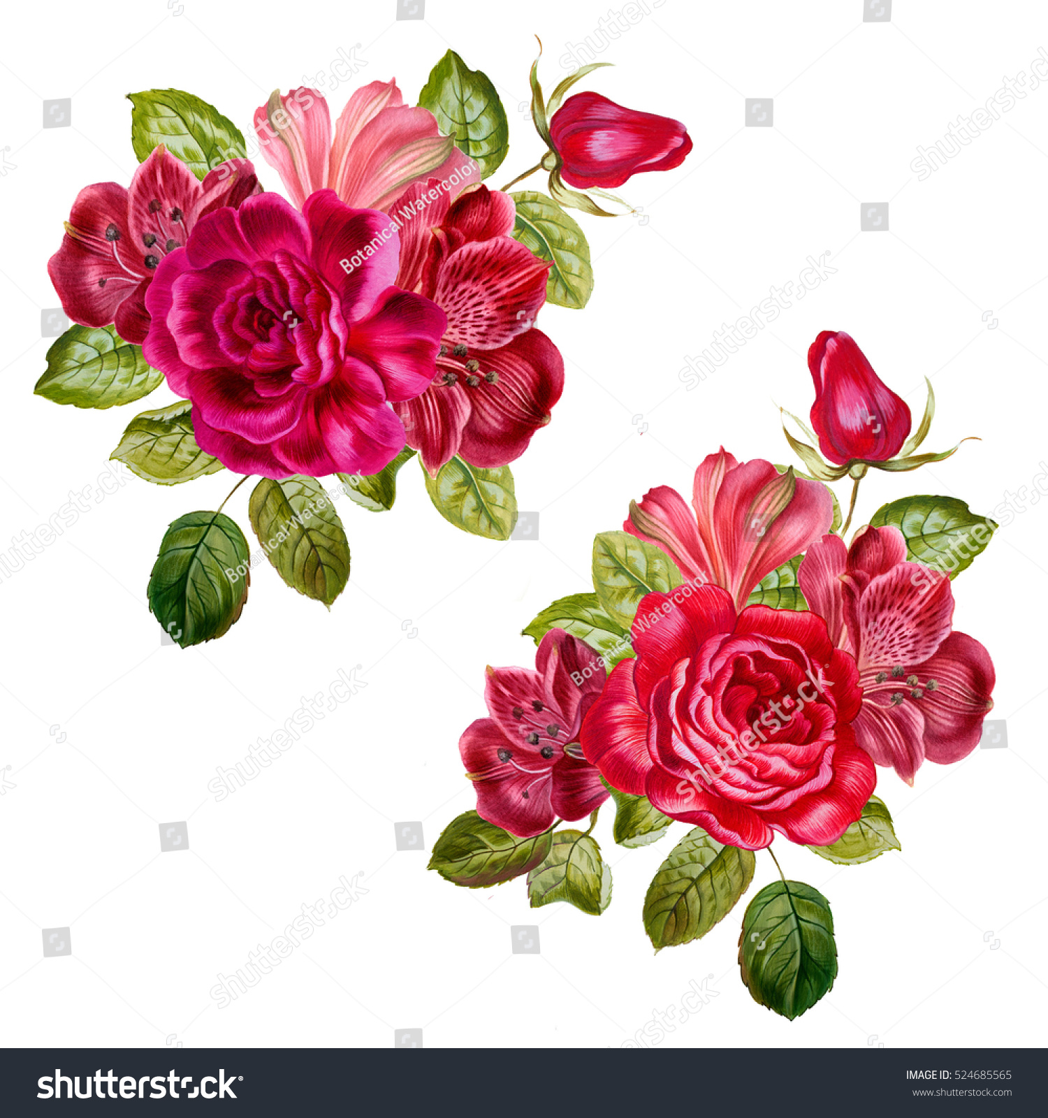 Bouquets Garden Flowers Flower Branches Isolated Stock Illustration ...