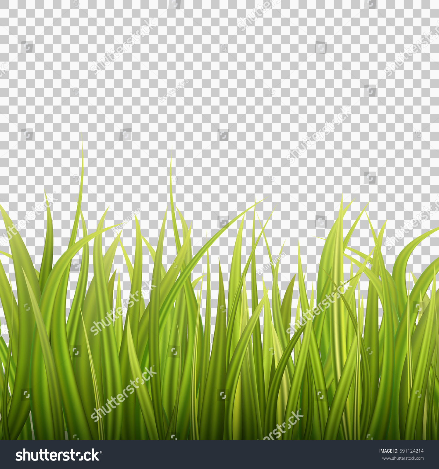 Fresh Green Grass On Transparent Background Stock Photo (Photo ...