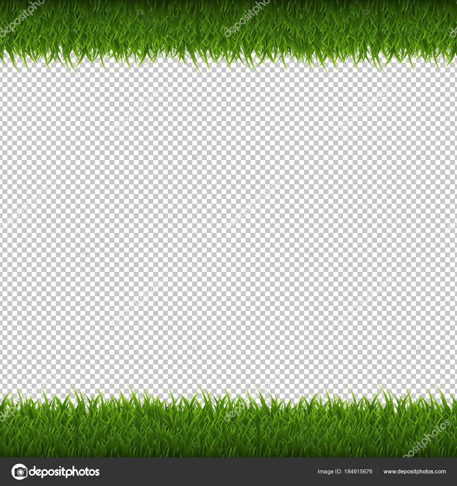 Green Grass Border Isolated Transparent Background Vector ...