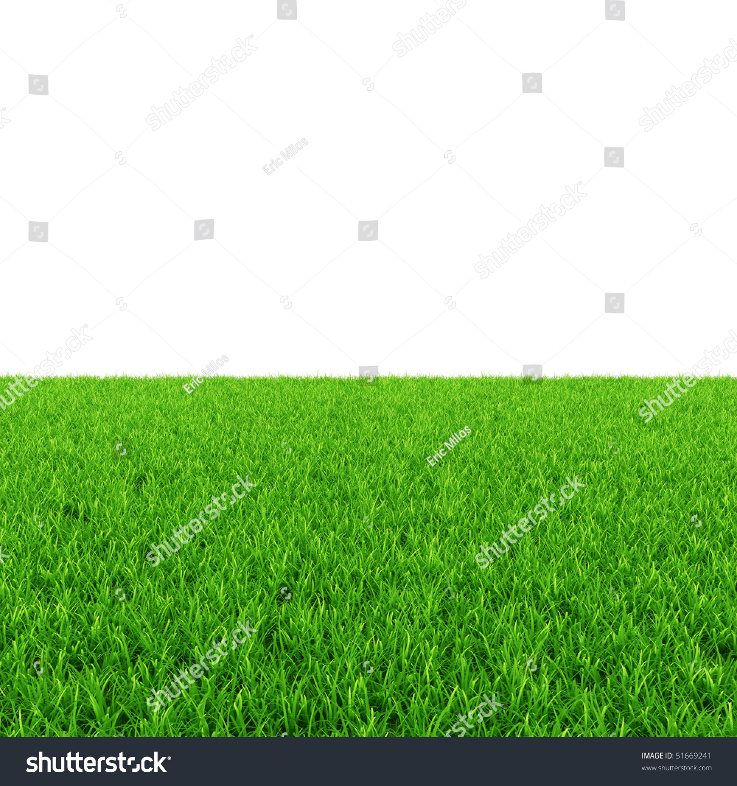 Green Grass Isolated On White Stock Illustration 51669241 - Shutterstock