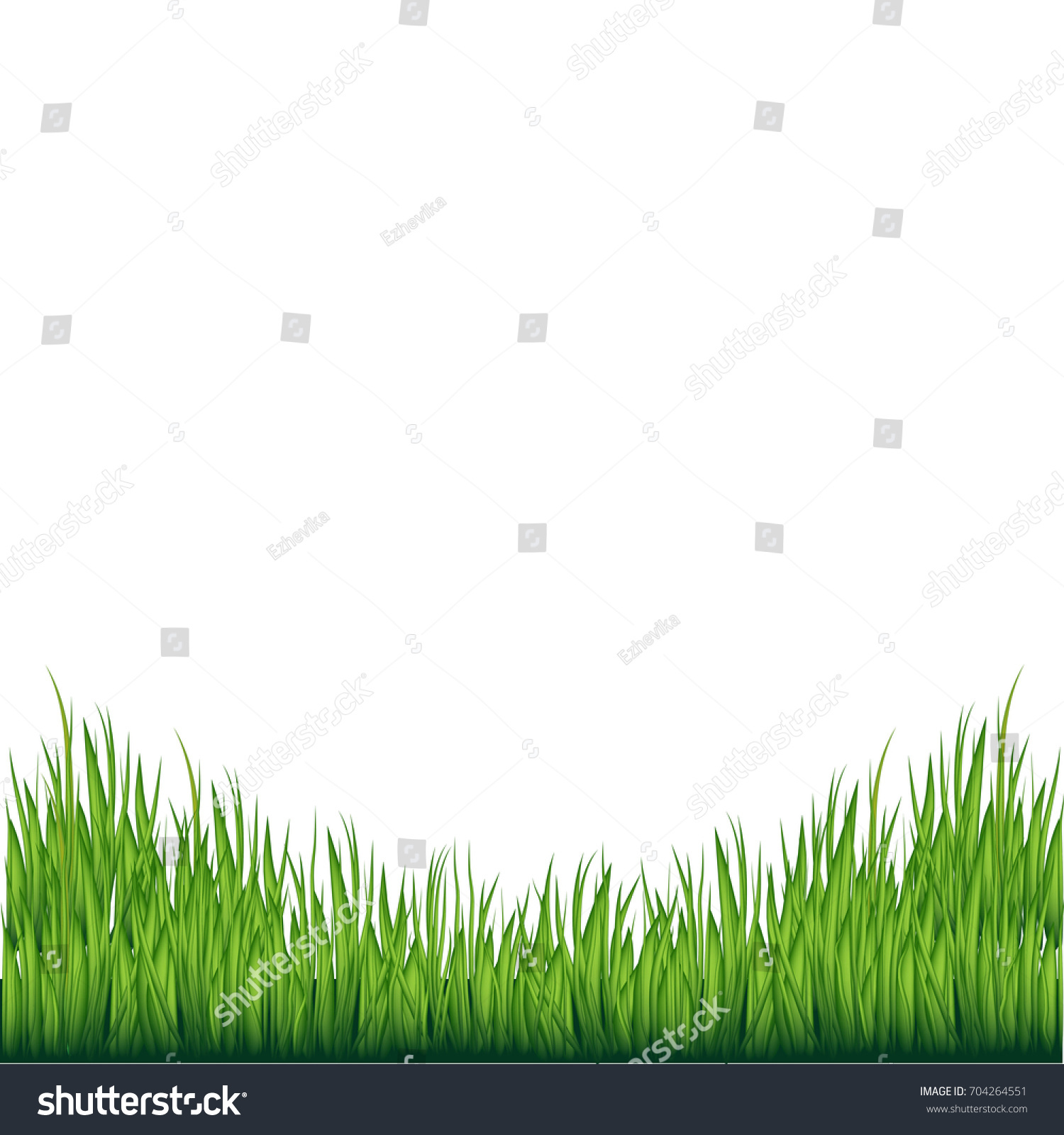 Green Grass Borders Isolated Grass On Stock Illustration 704264551 ...