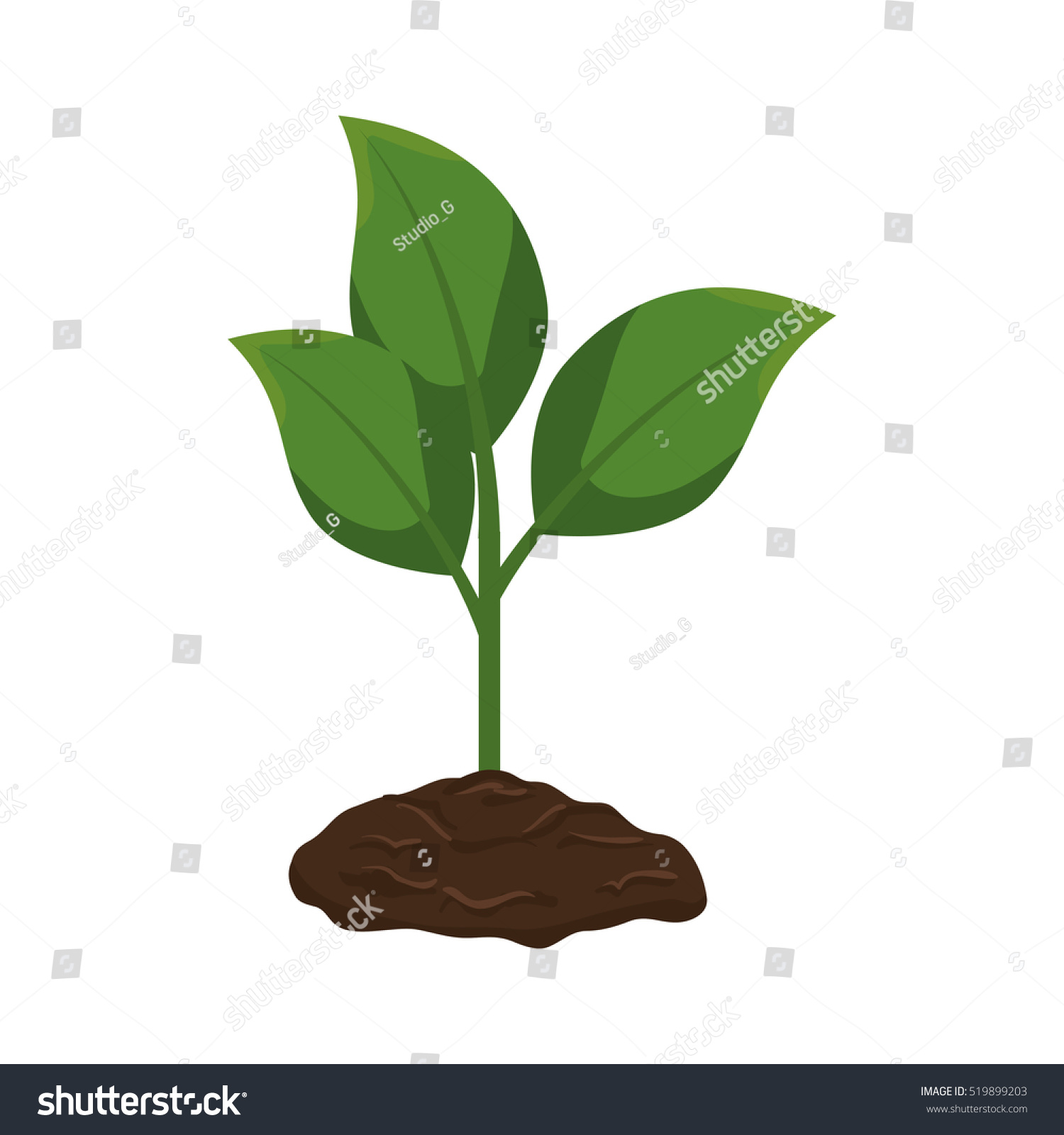 Plant Pot Isolated Icon Stock Vector 519899203 - Shutterstock