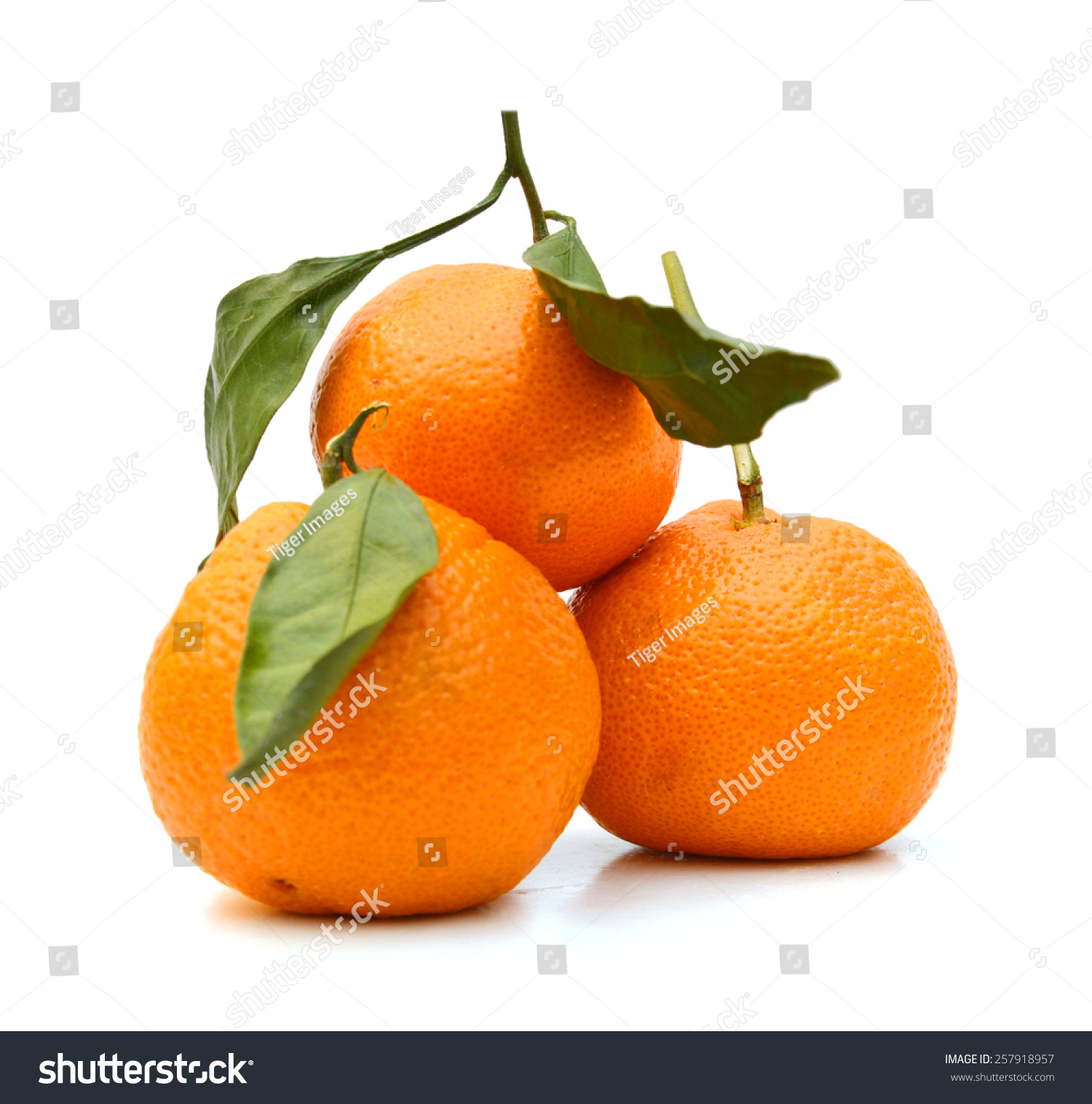 Ripe Mandarin Citrus Isolated Tangerine Mandarine Stock Photo ...