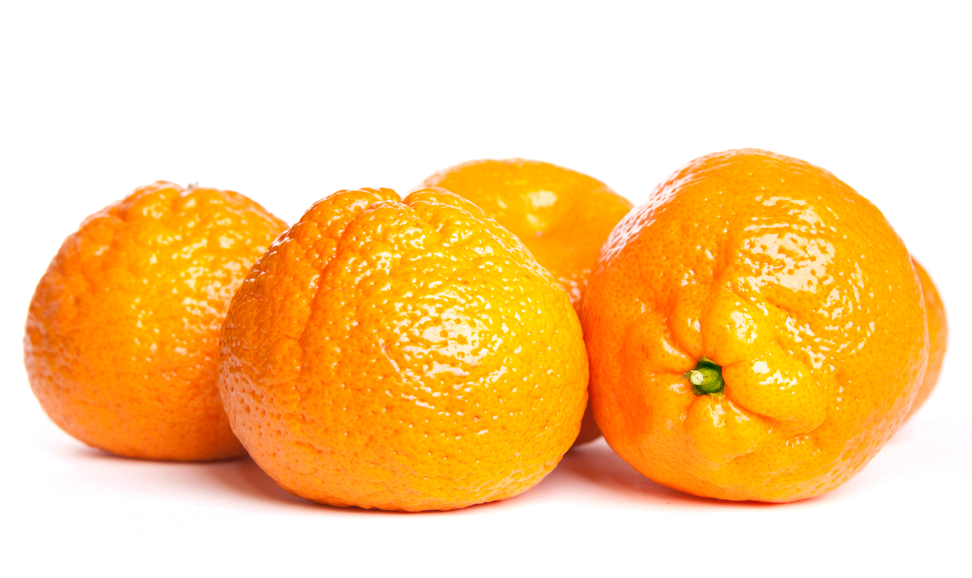Isolated tangerine photo