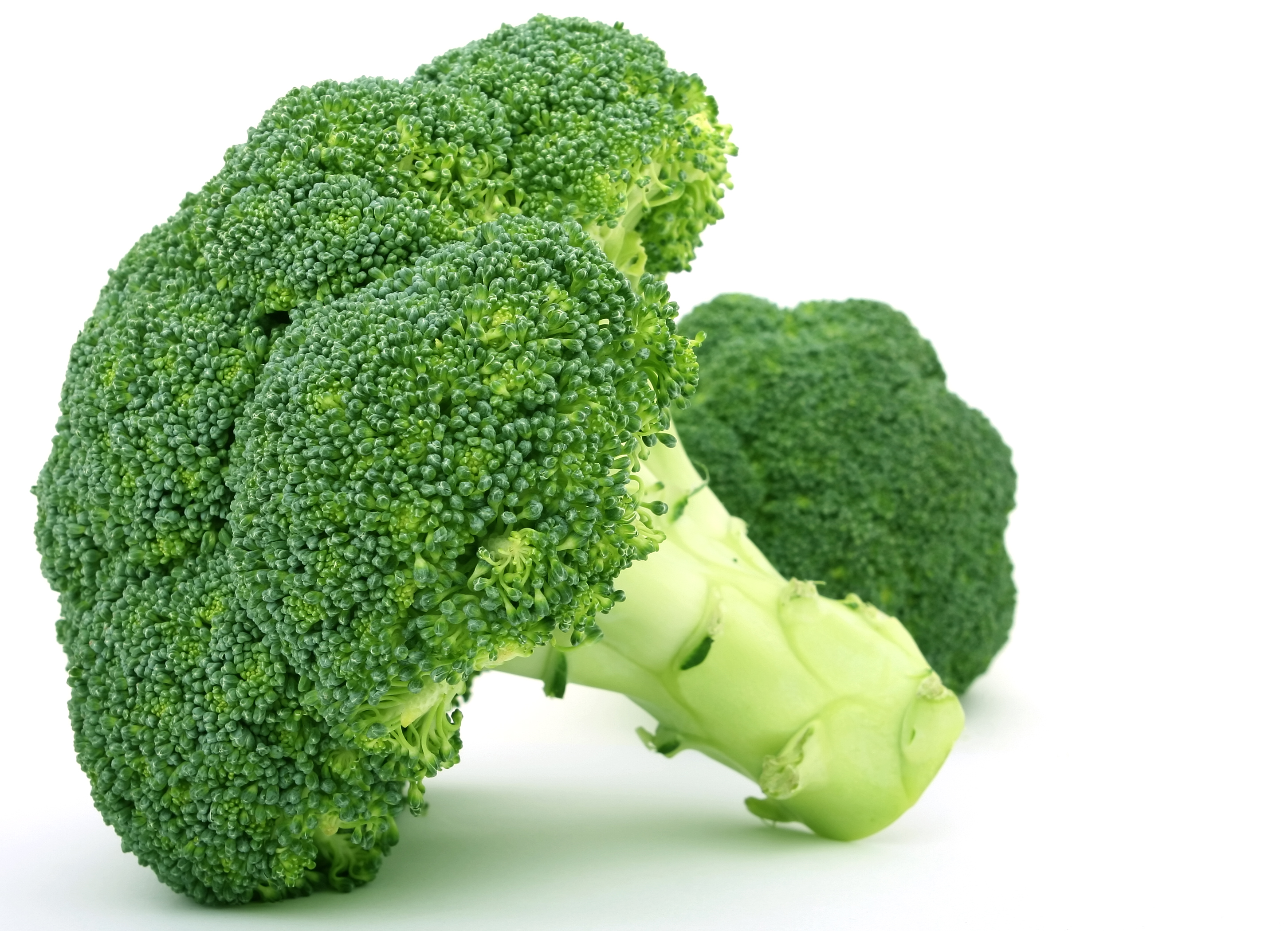 Superfoods! Broccoli – Health for the Whole Self