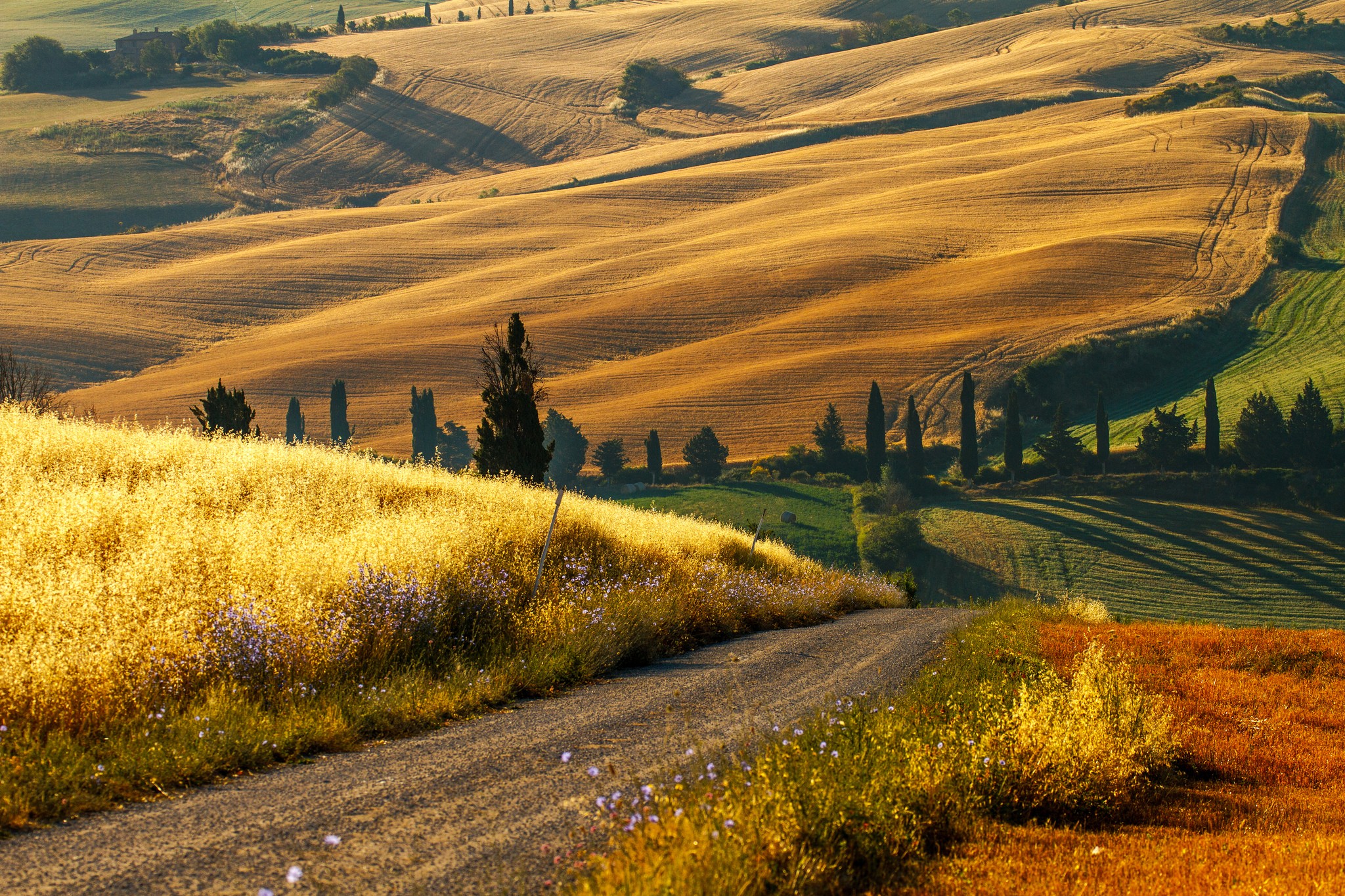 Field Incredible Tuscany Country Italian Paradise Road Italy Winding ...