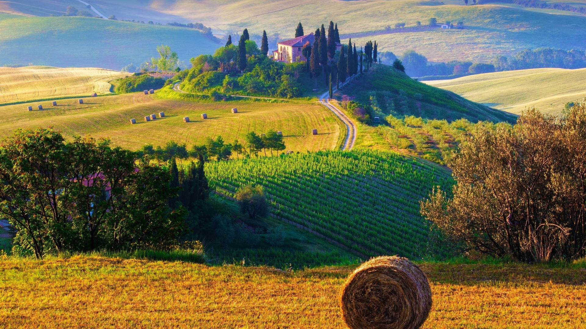 Italian agriculture, the greenest in Europe - Italian Good News