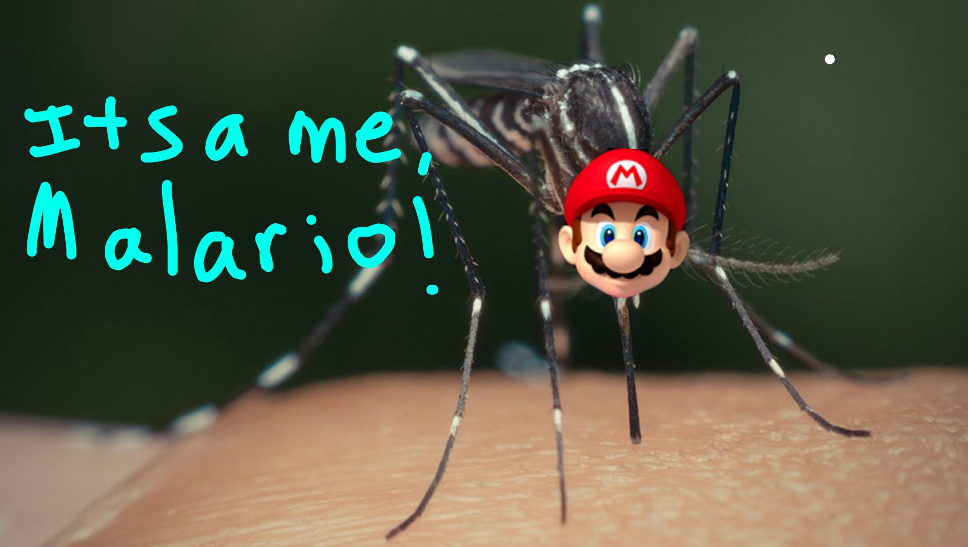 It's a me malario