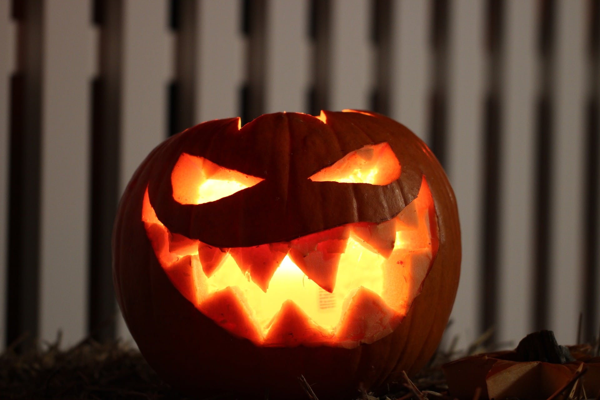 Jack-O-Lantern Ideas for Halloween | Northern Lights and Trees
