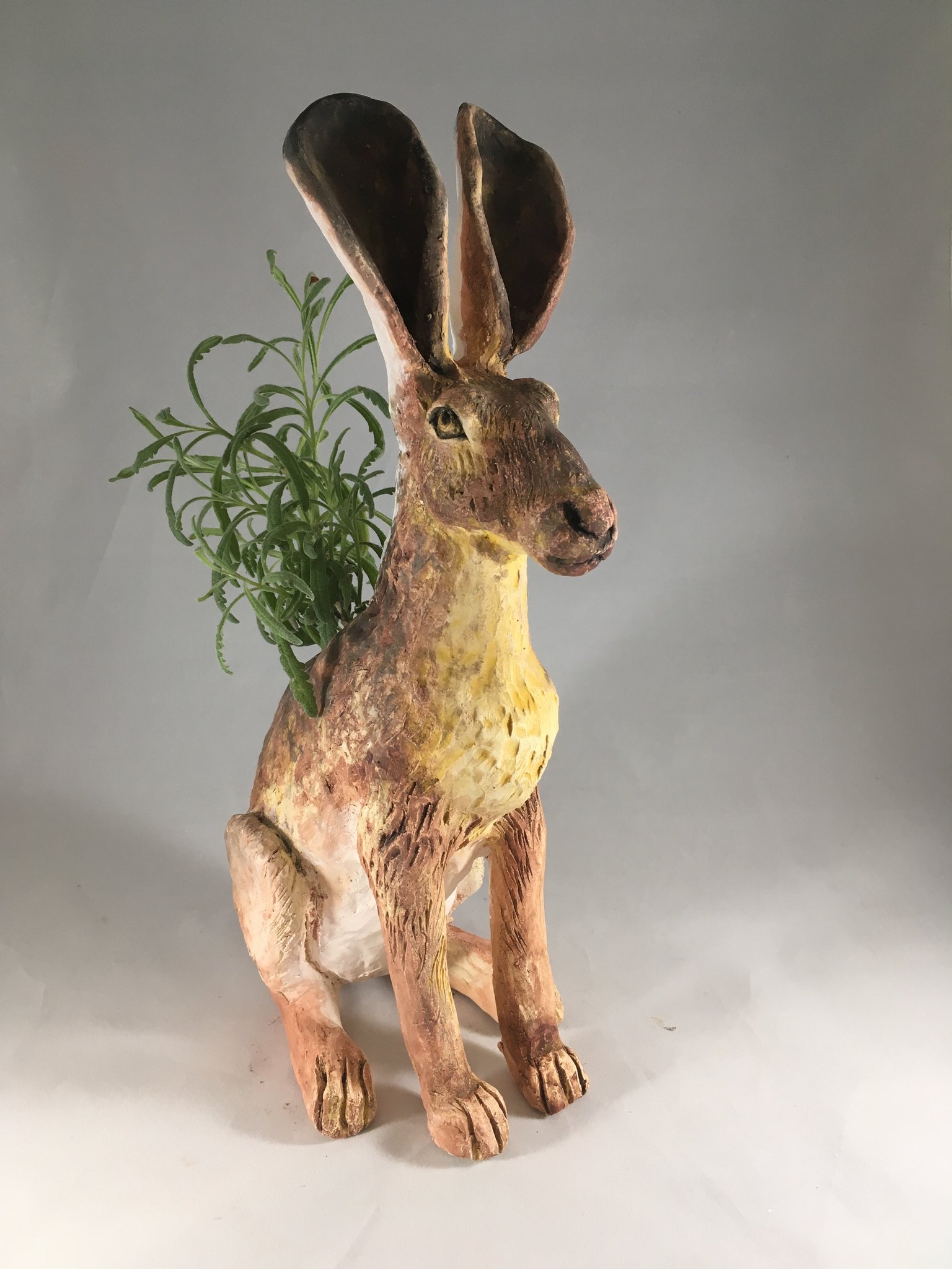Animal Planter- Jack Rabbit – naominickersonceramics