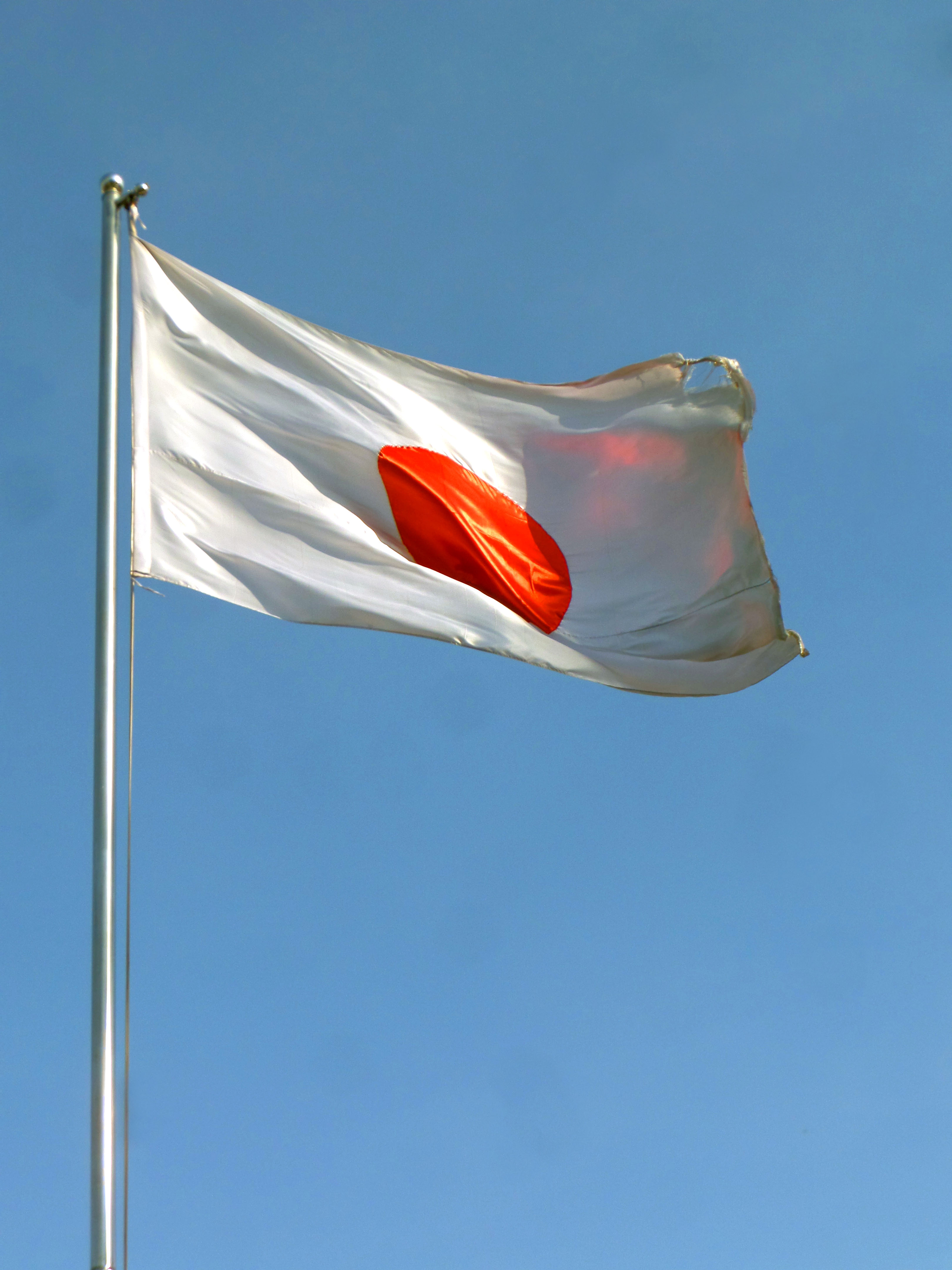 Japanese flag photo