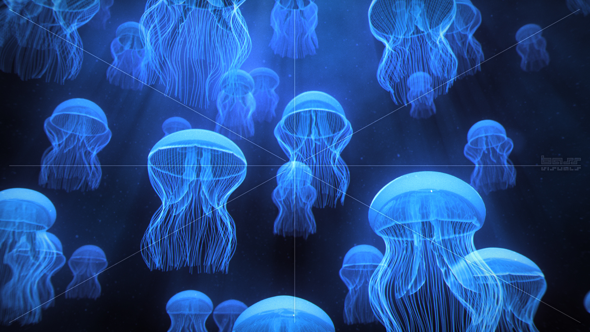 Jellyfish Ascending Towards Light Rays Versions – Bass Visuals