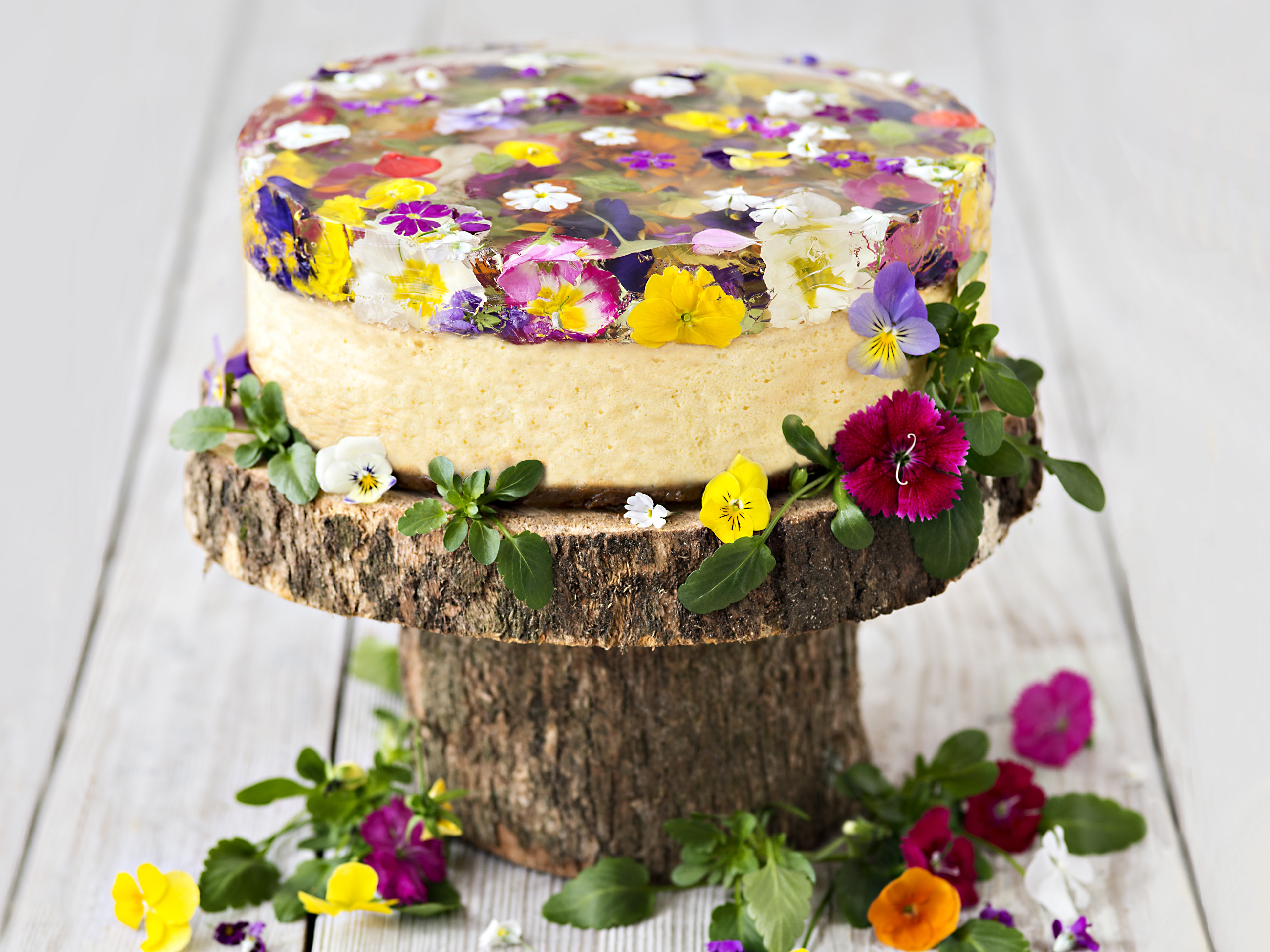 Baked ricotta cake with spring-flower jelly recipe | Food To Love