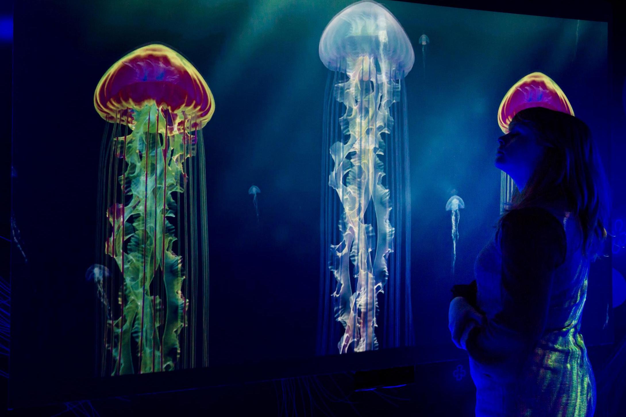 New Sea Life jellyfish show will be some sting special | London ...