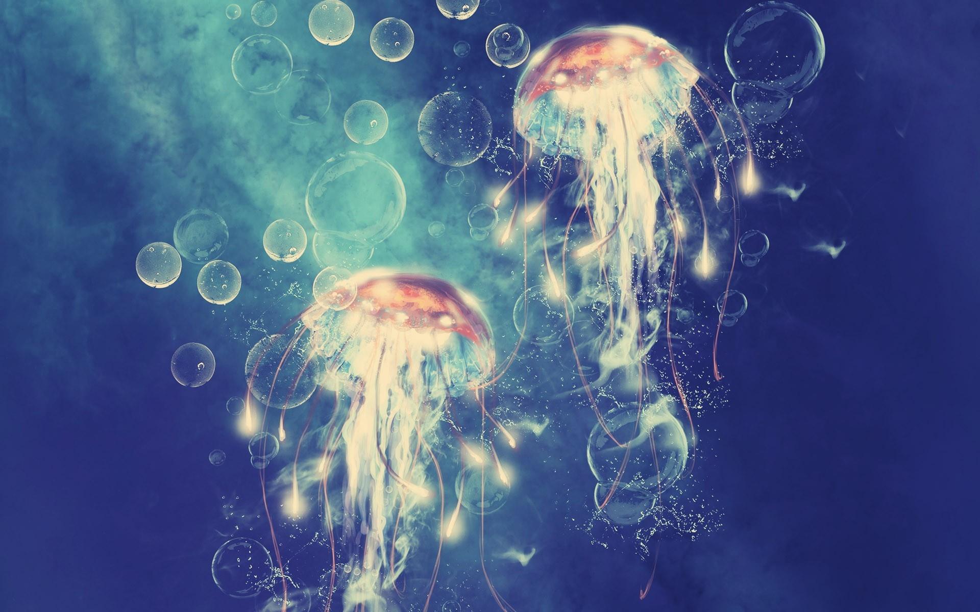 HD Jellyfish Digital Art Cg Underwater Ocean Sea Bubbles Photo ...
