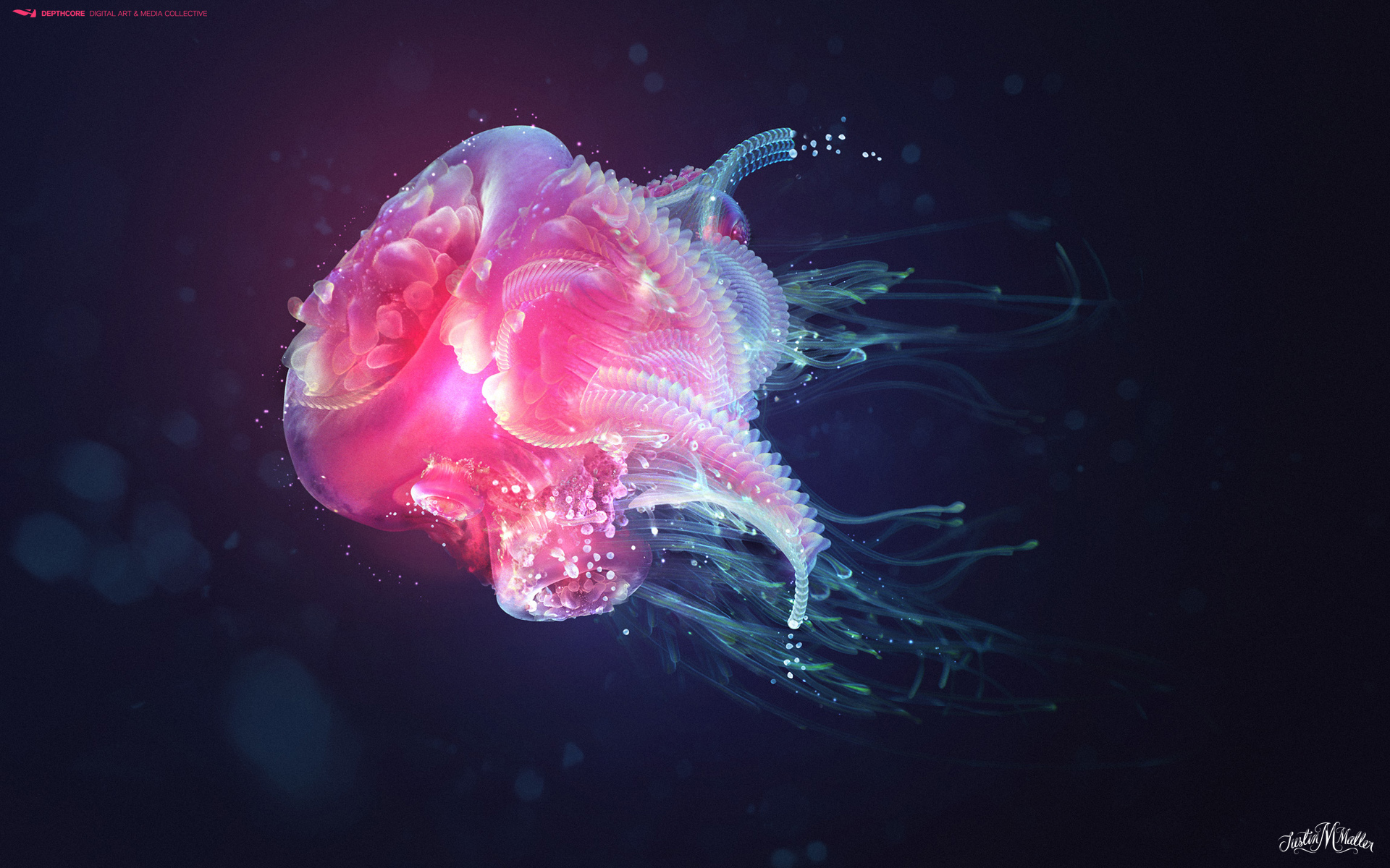Jellyfish Wallpapers | HD Wallpapers | ID #10738
