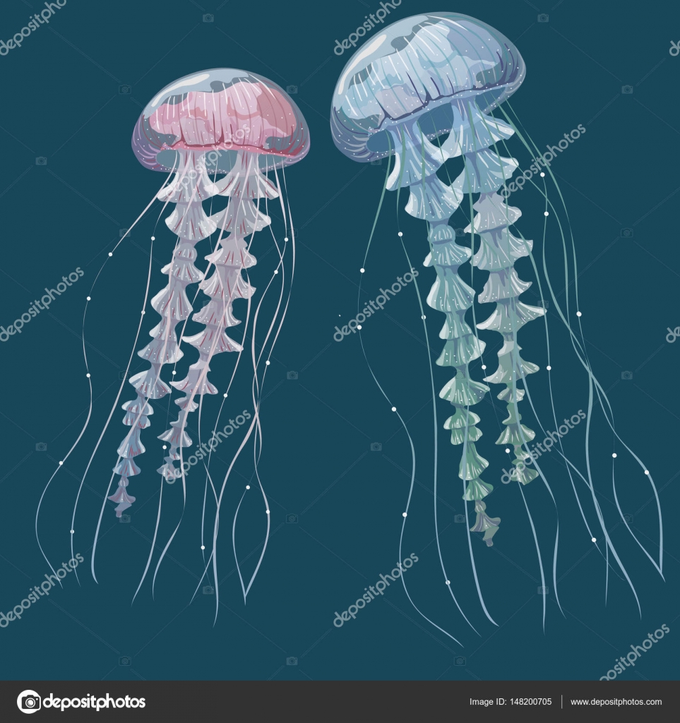 Detailed transparent jellyfish. Pink and blue sea jelly on blue ...