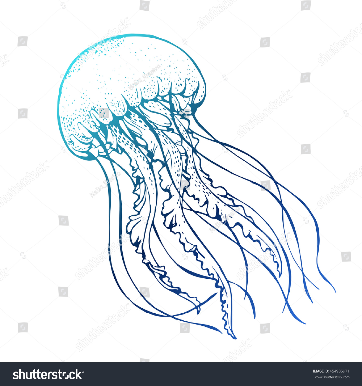 Jelly Fish Line Art Vector Illustration Stock Vector 454985971 ...
