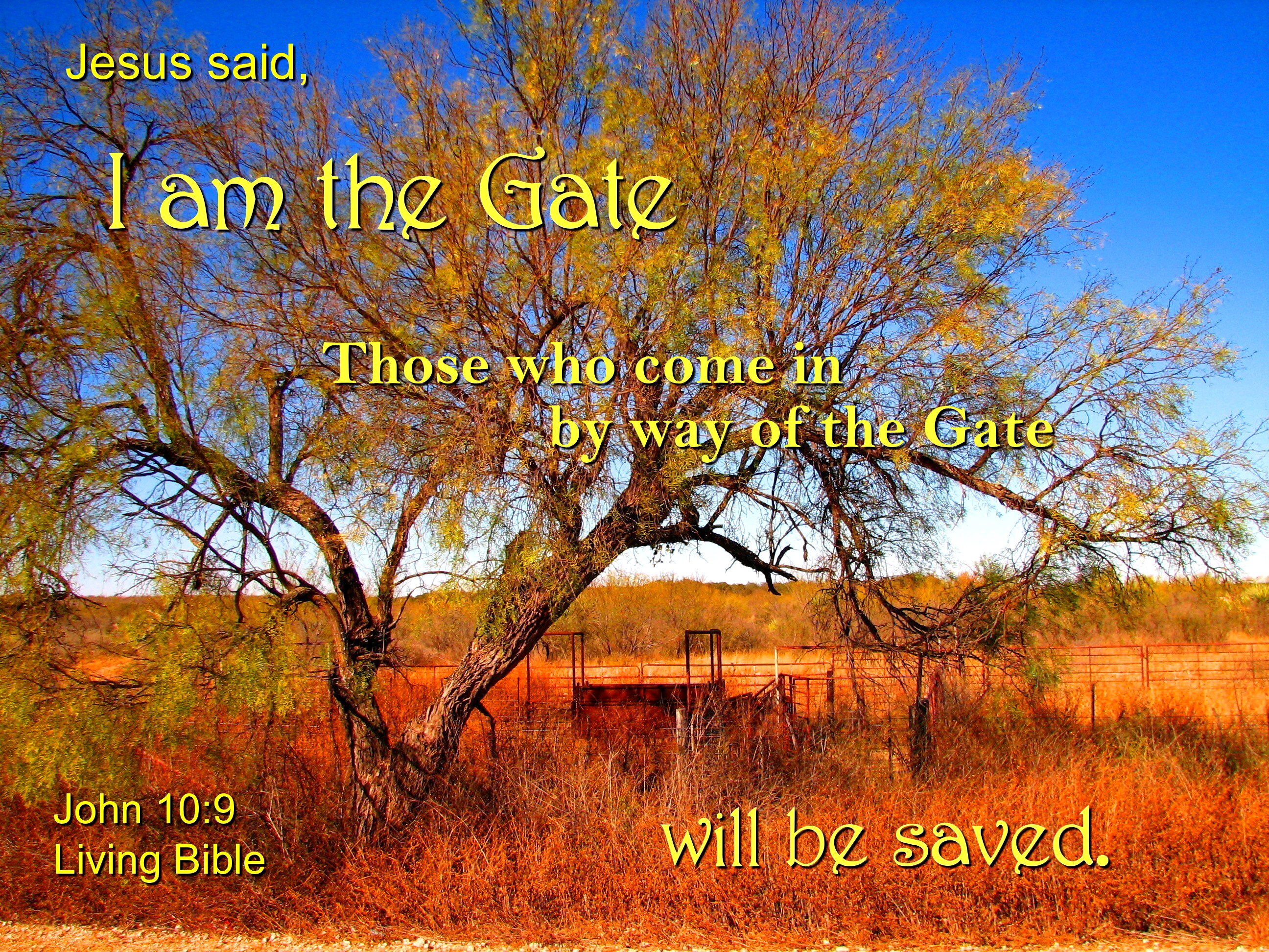 Jesus is the gate photo