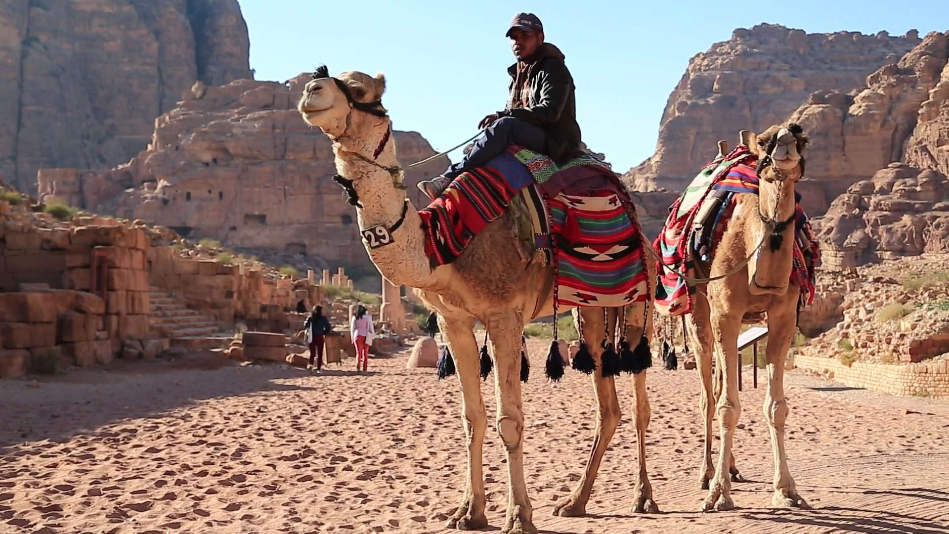 JORDAN, PETRA, DECEMBER 5, 2016: Jordanian on camel near The ...