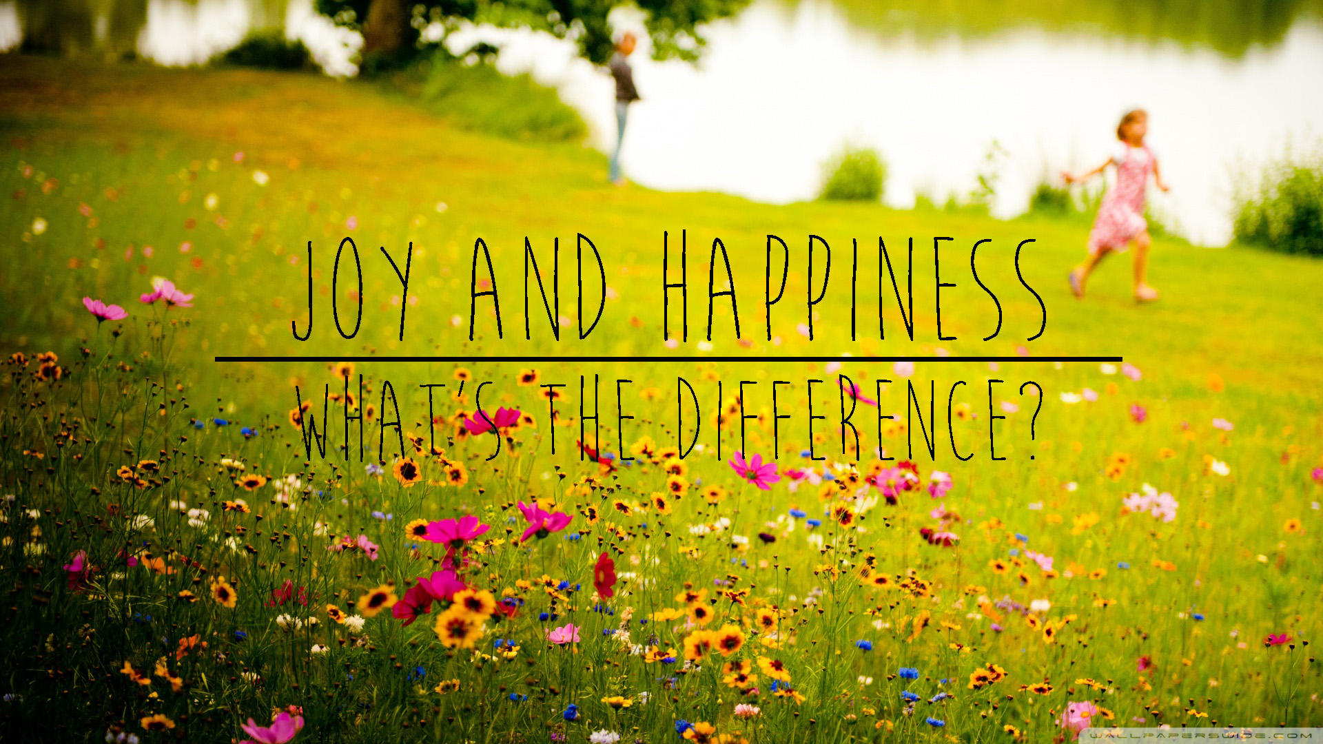 RE: Difference Between Joy and Happiness – david bartosik