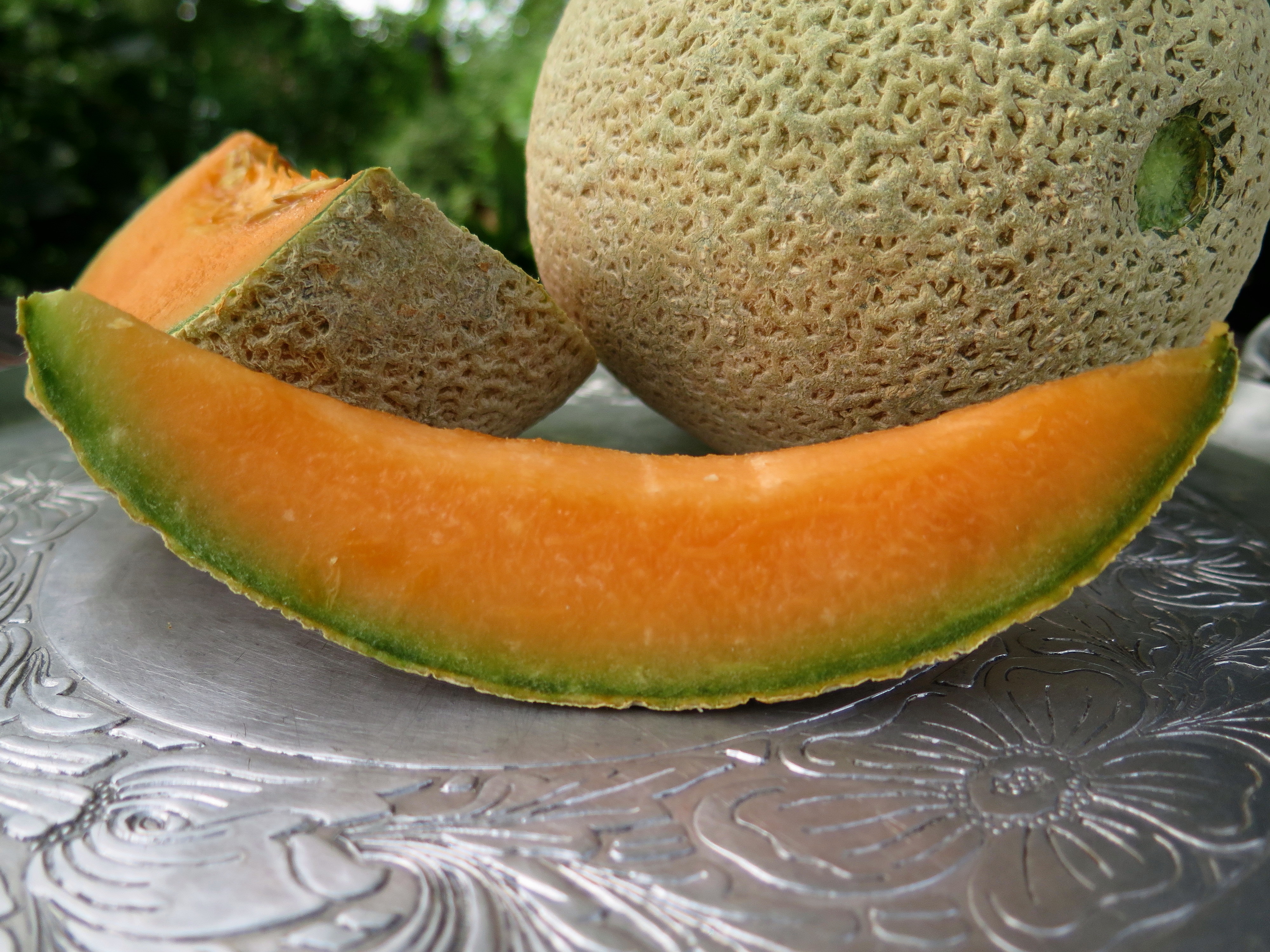 Ripe Cantaloupe in the Summertime | beyondgumbo