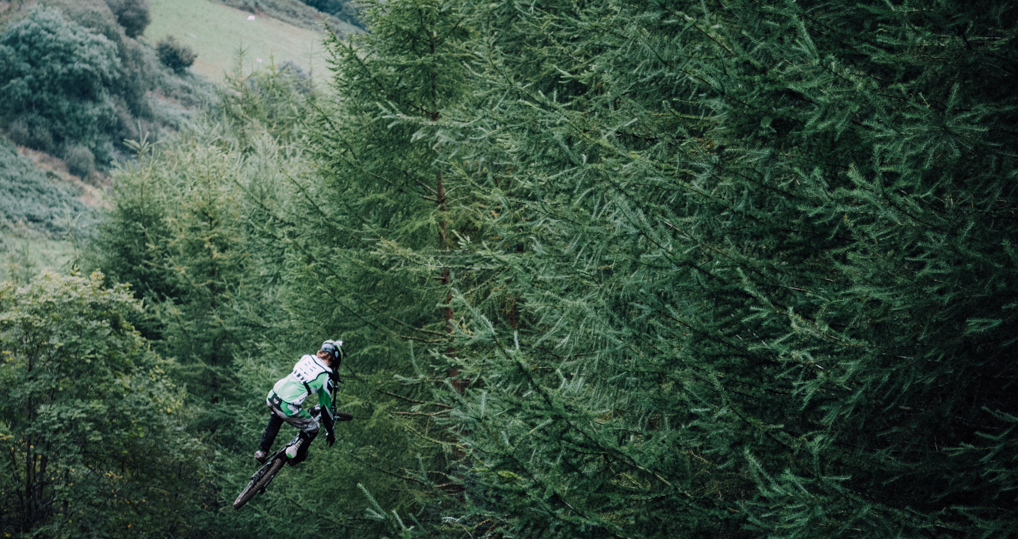 Jump, Cycle, Cyclist, Forest, Green, HQ Photo