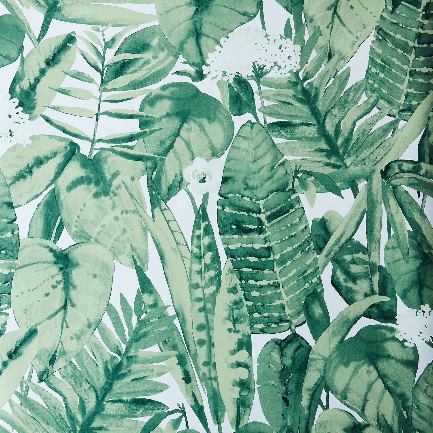 Self-Adhesive Wallpaper, Tropical Jungle on Food52