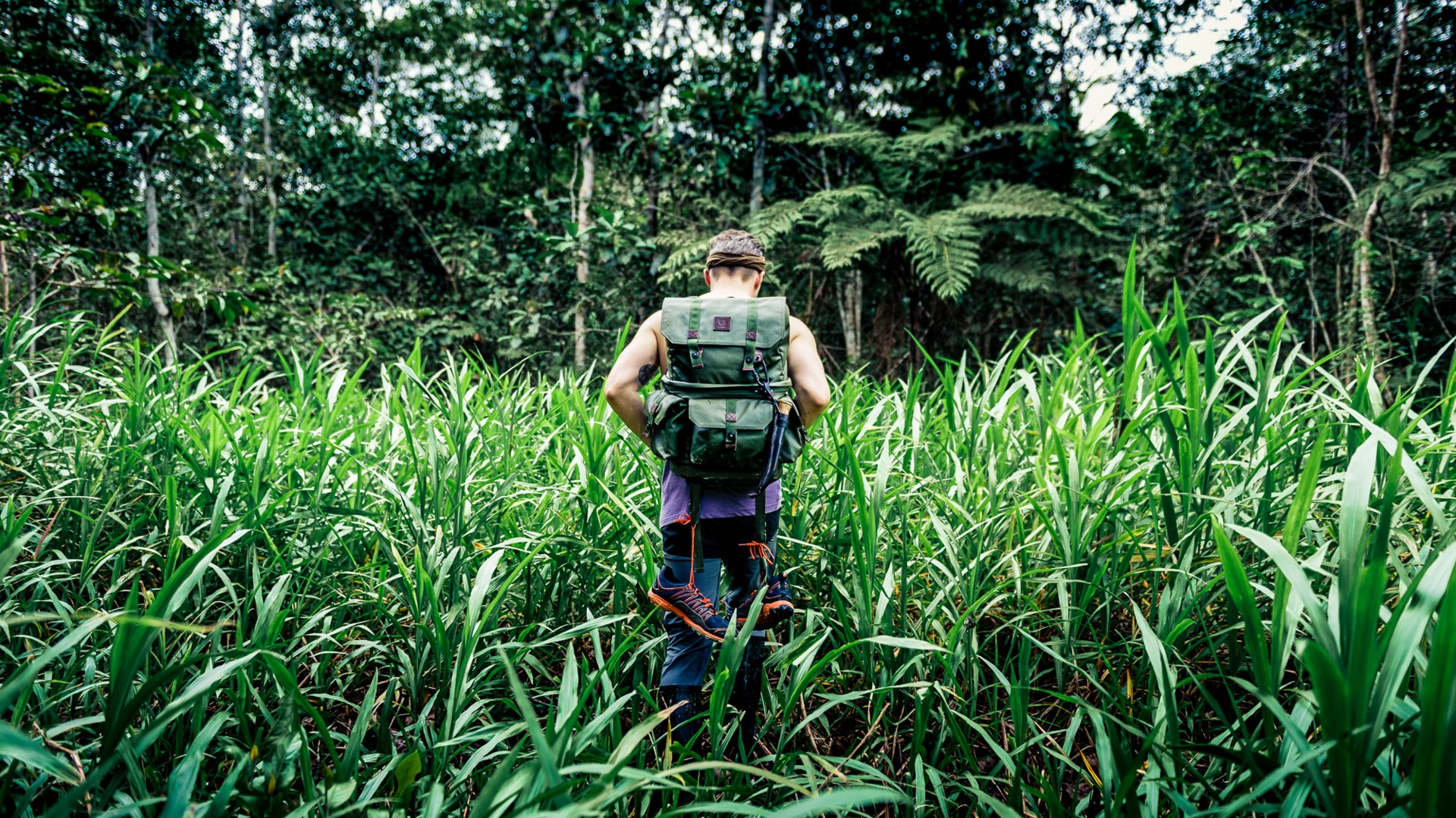 Can Daniel Radcliffe's 'Jungle' film help Bolivian ecotourism ...