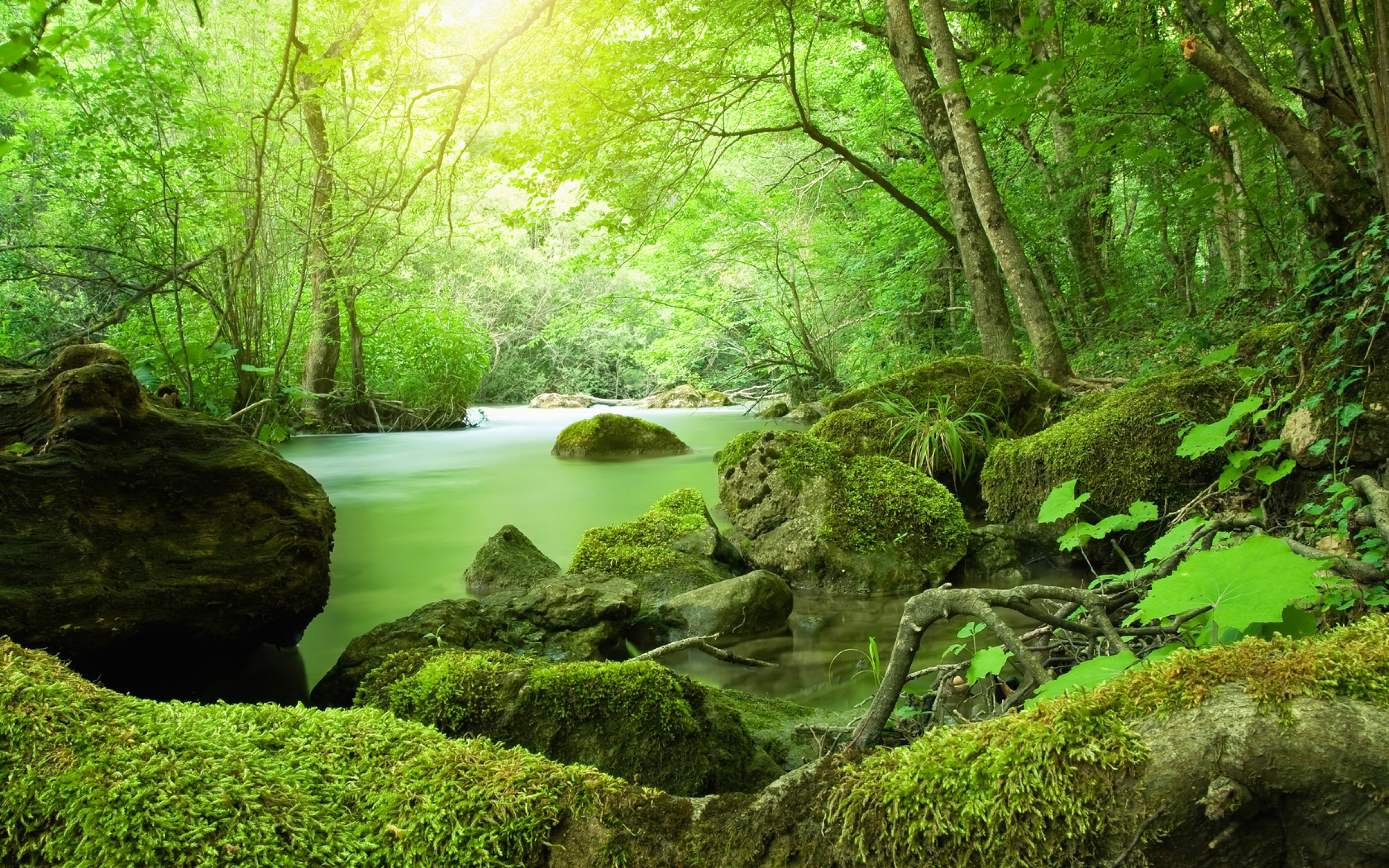 Jungle River Wallpapers, Full HD 1080p, Best HD Jungle River Images ...