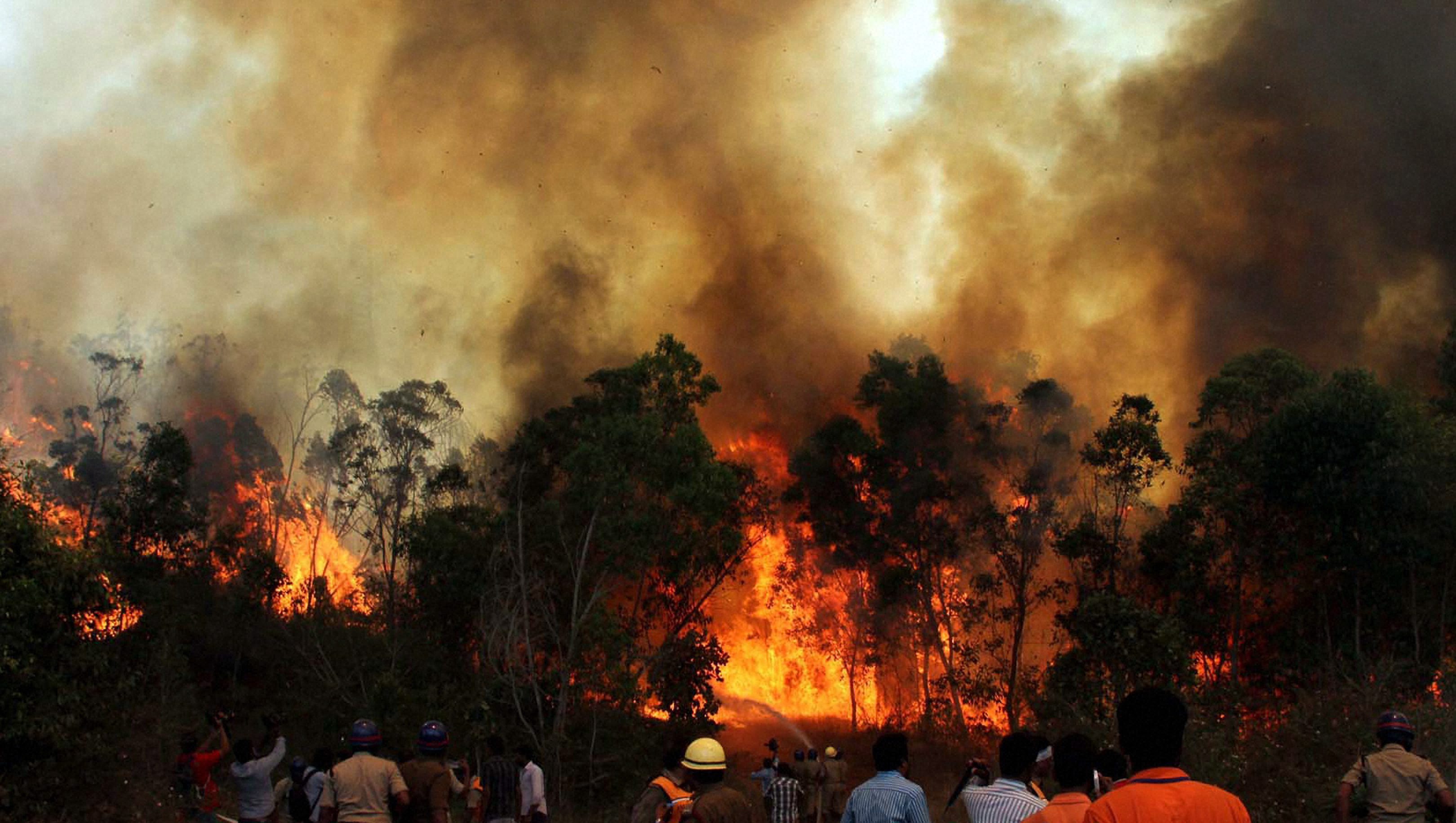 Tirumala fire: Indian Air Force helps control inferno in the ...