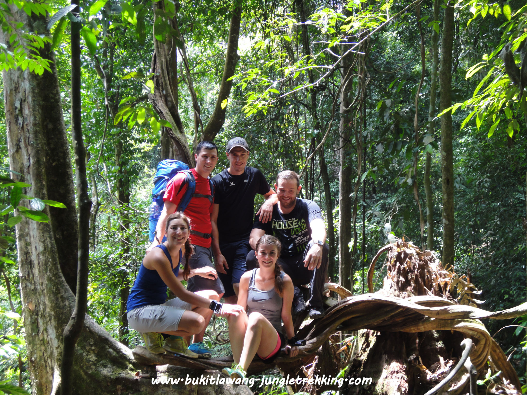 Welcome - Jungle Trekking Tours in Bukit Lawang,Sumatra!