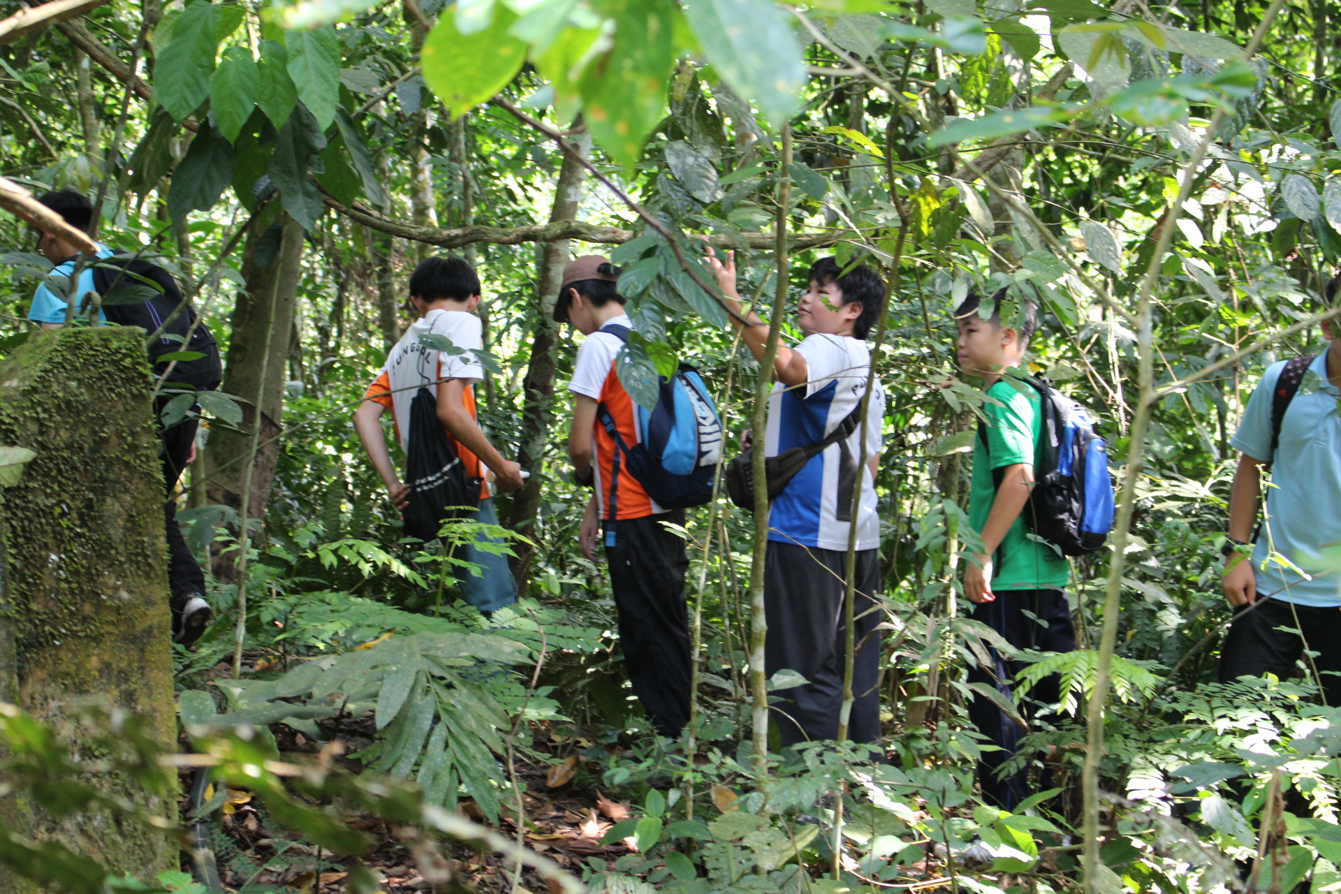 Gopeng Day 3: Campcraft + Jungle trekking + CIP with Orang Asli ...