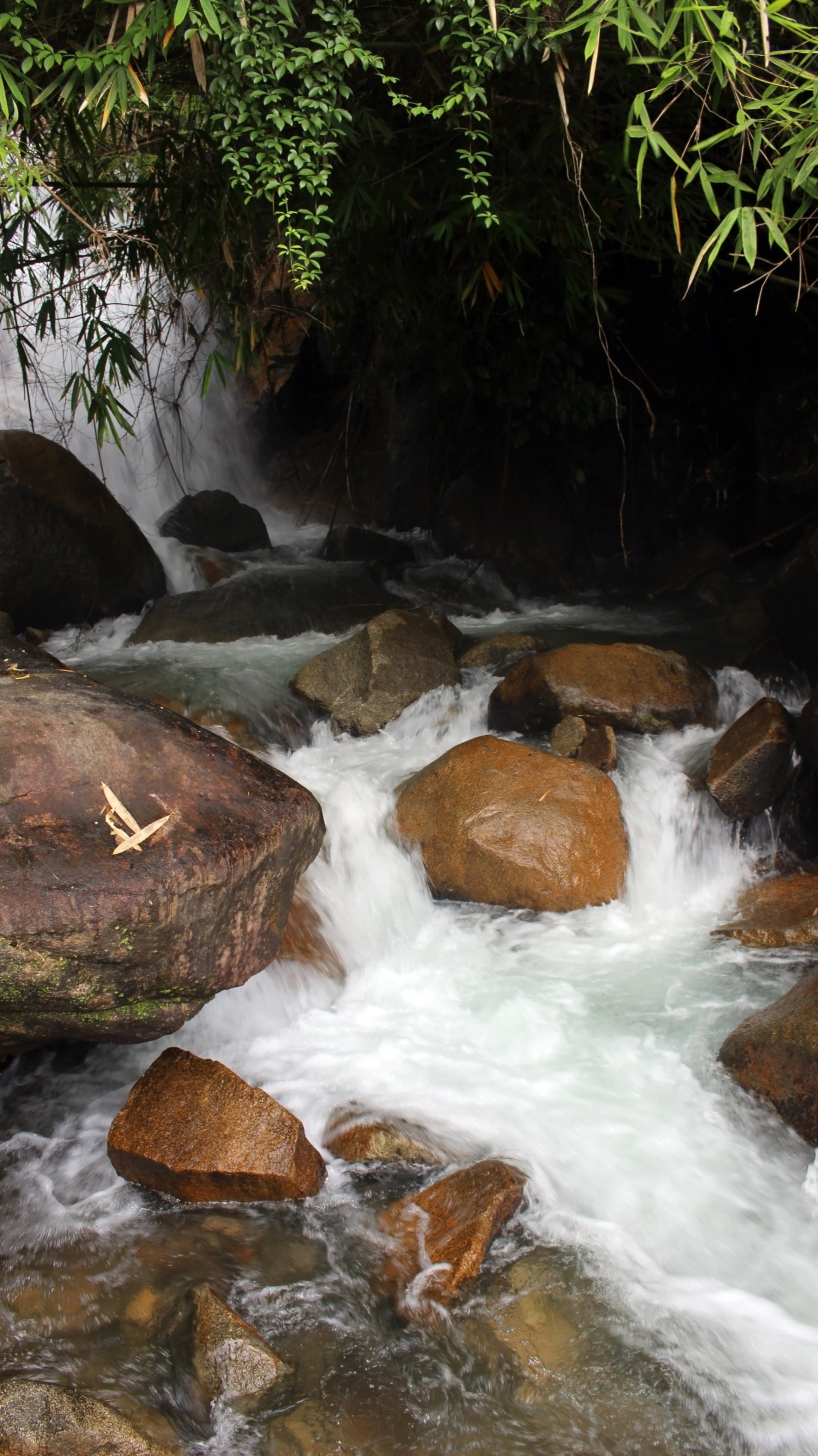 Jungle waterfall and stream flowing over boulders photo