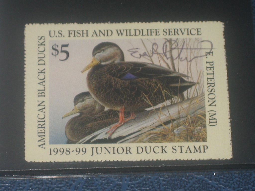 Junior  duck stamp photo