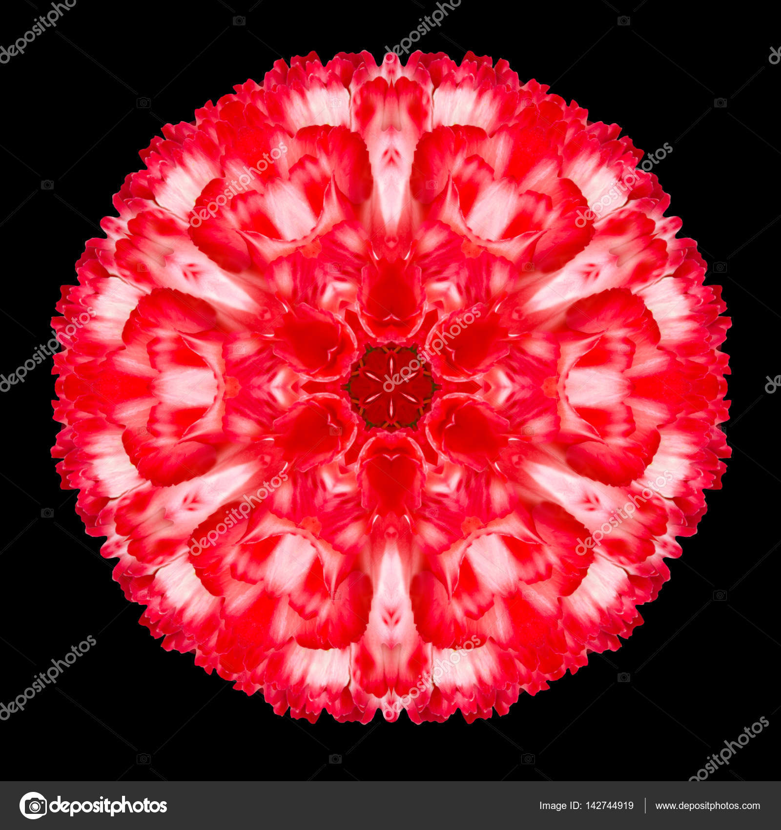 Red Flower Mandala Kaleidoscope Isolated on Black — Stock Photo ...