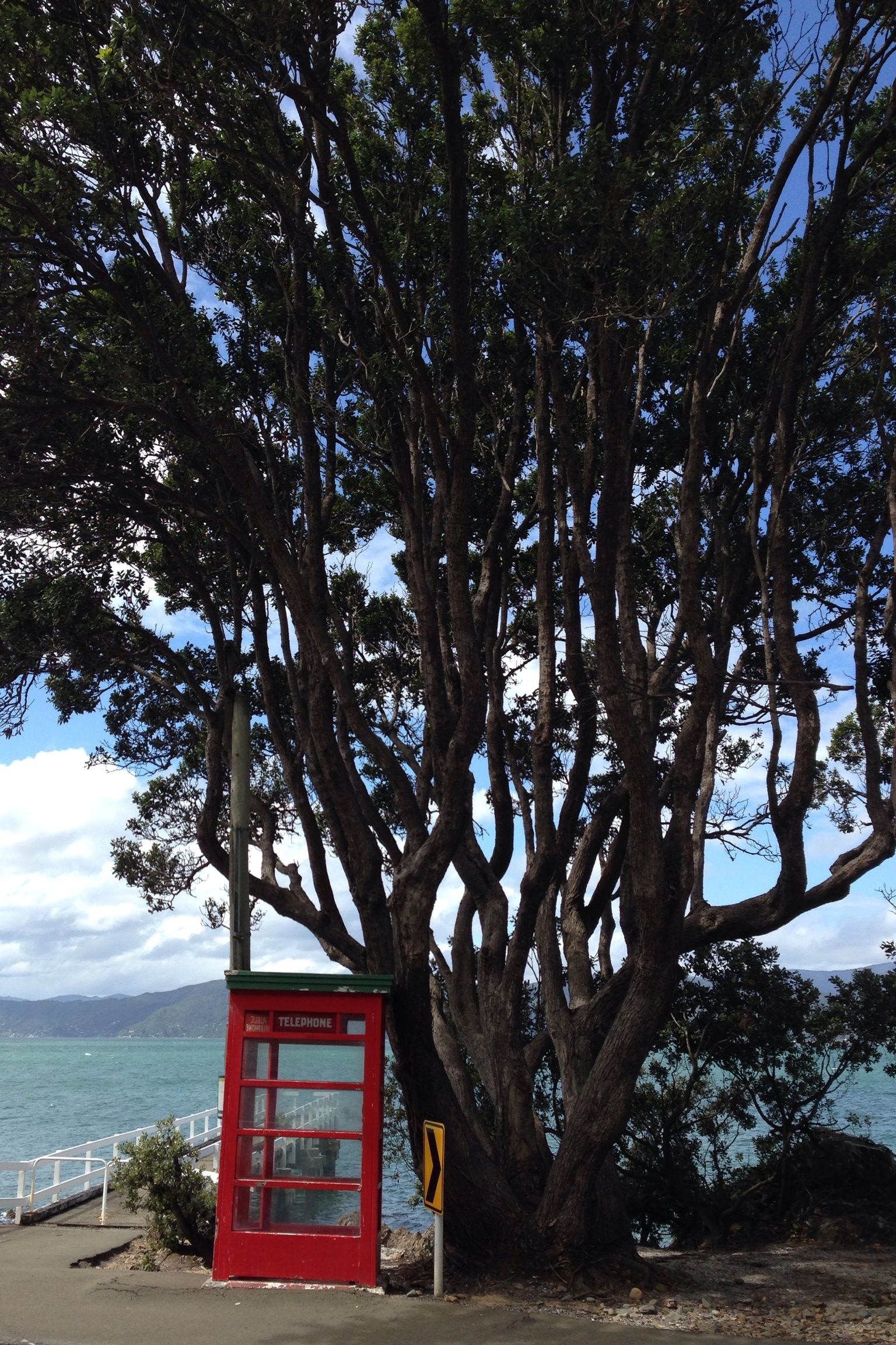 Karaka Bay, Wellington, New Zealand | Travel | Pinterest | Kiwiana ...