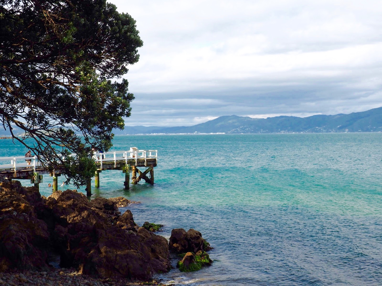 CRISTINE FARINAS: The Miramar Peninsula, Wellington