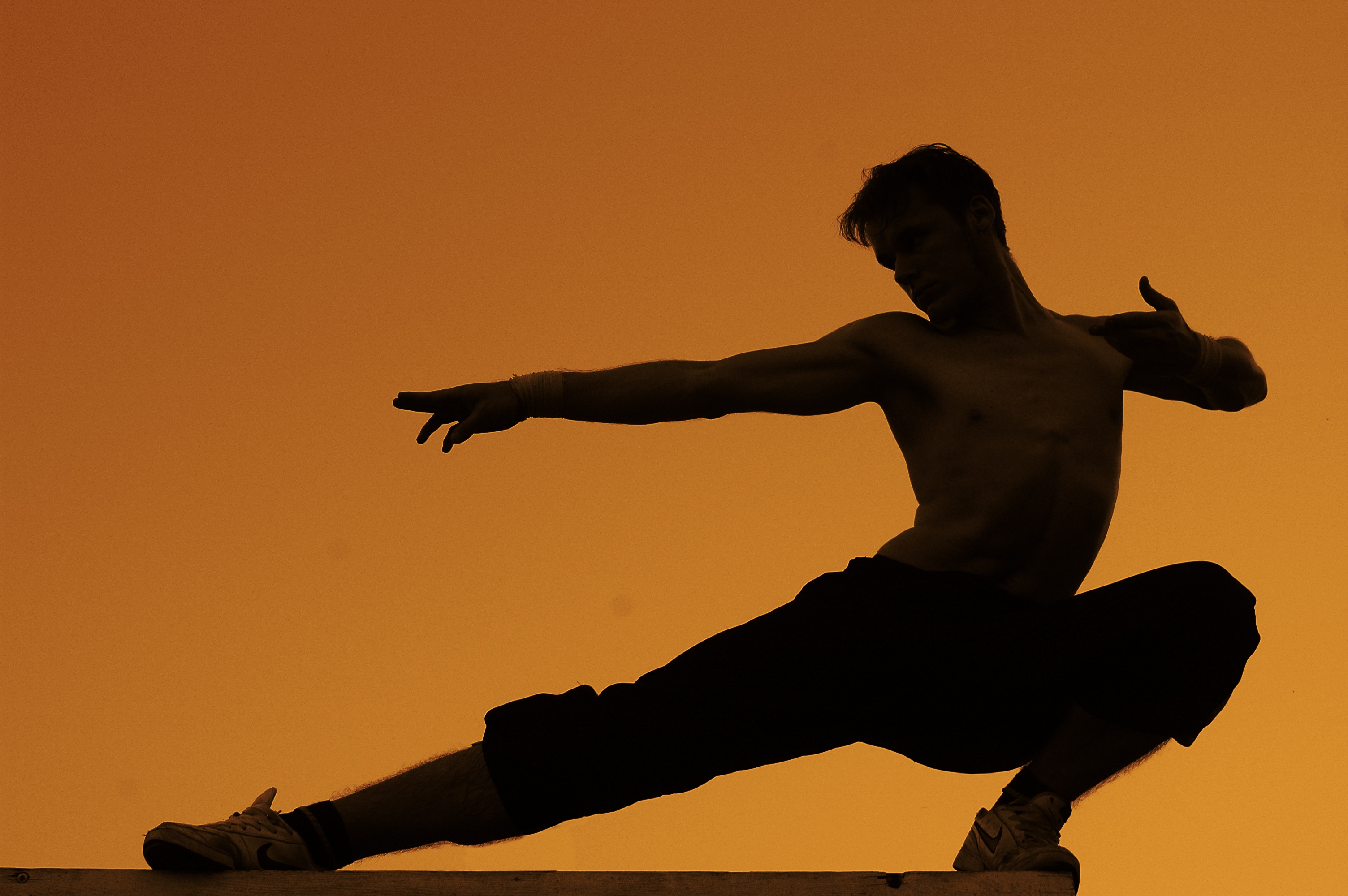 Which Martial Arts Style is Right for Me? - Martial Arts Lab