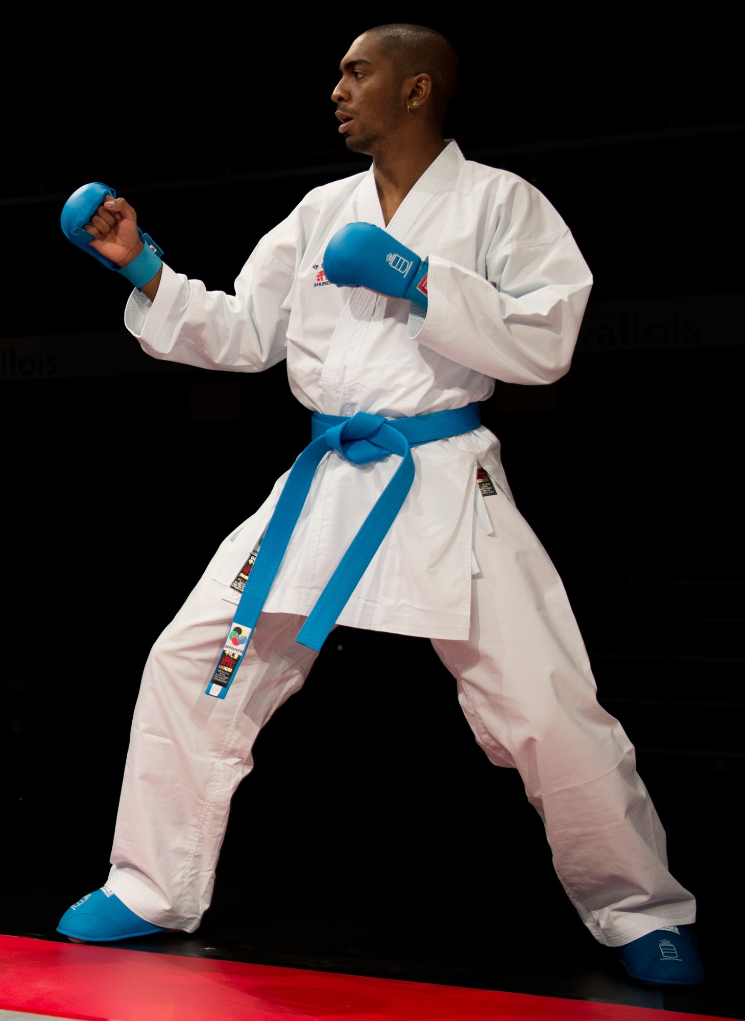 Karategi Shureido NEW WKF FIGHTER - Premierdan.com Shop online ...