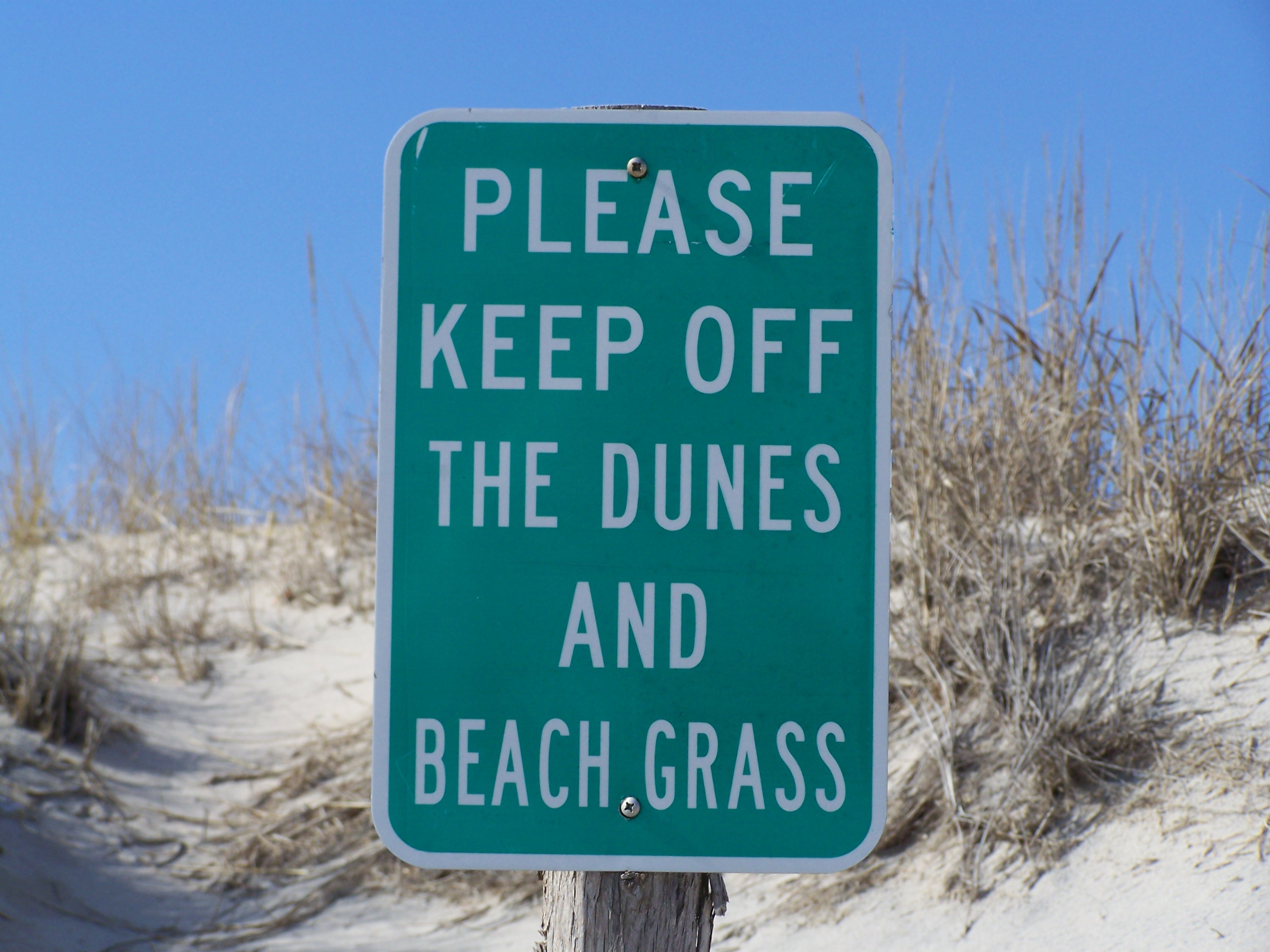 Keep off dunes photo